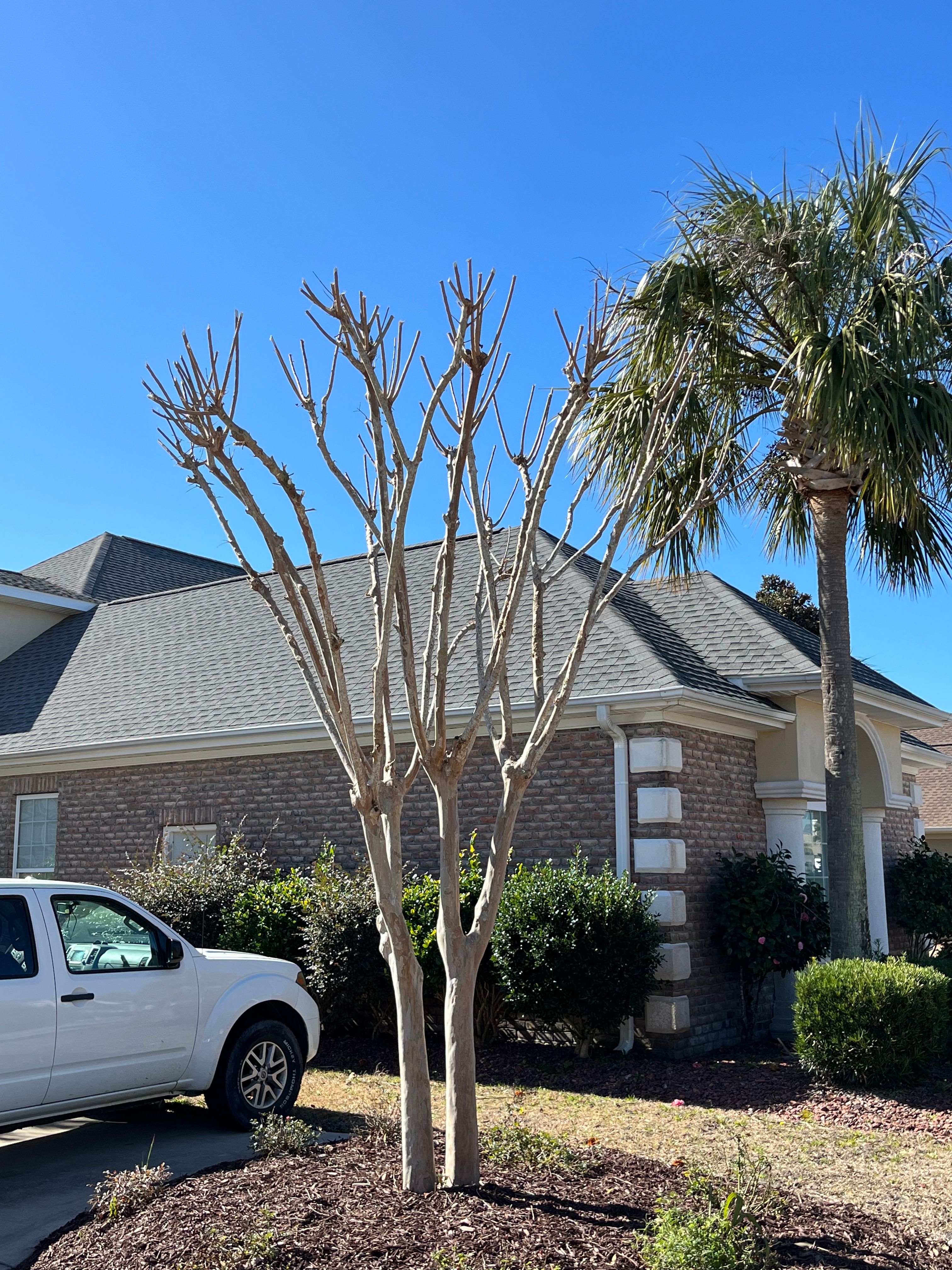  for New Creation Landscaping in Myrtle Beach, SC