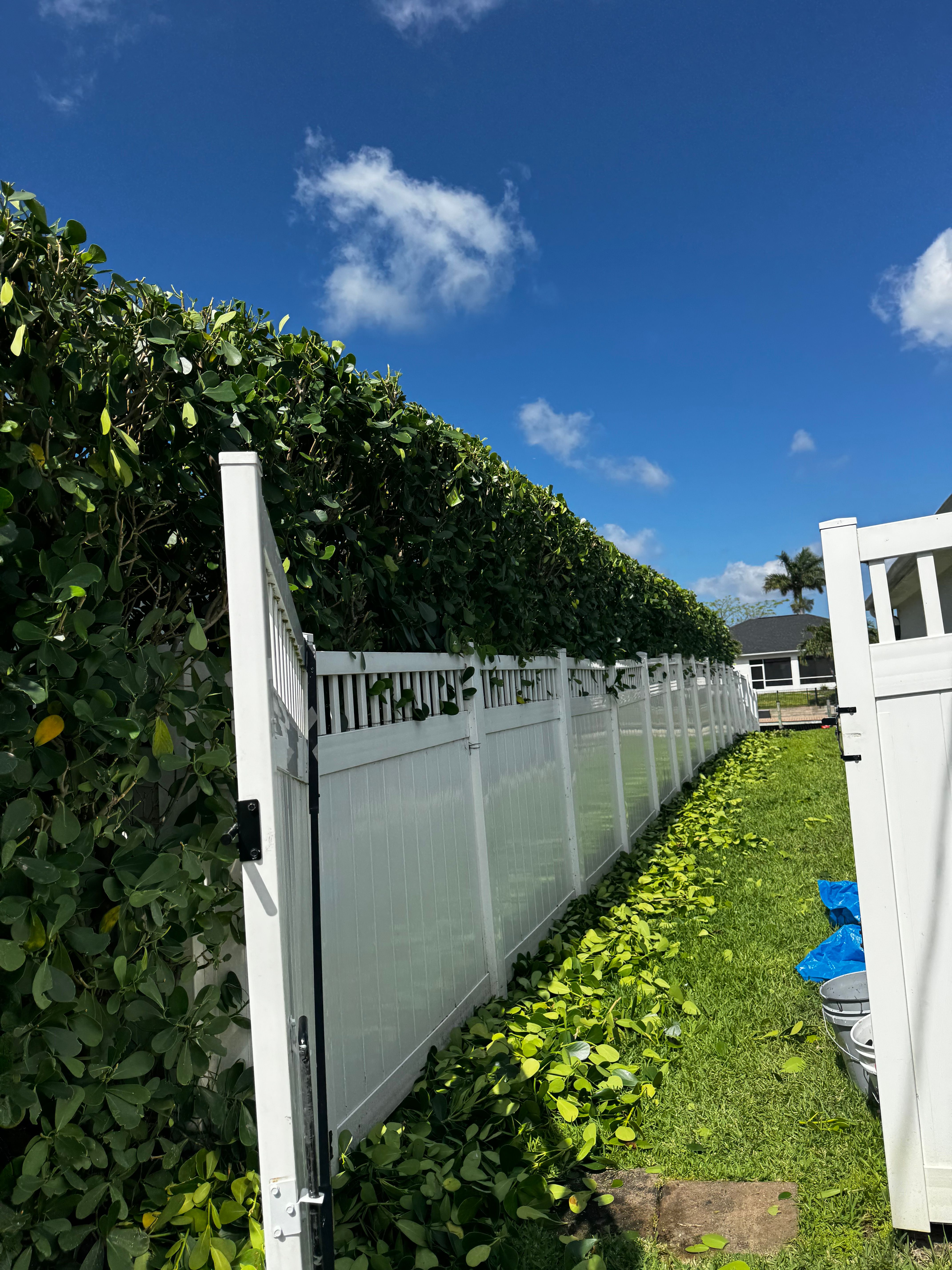  for BH Lawn and Landscape in Fort Myers, FL