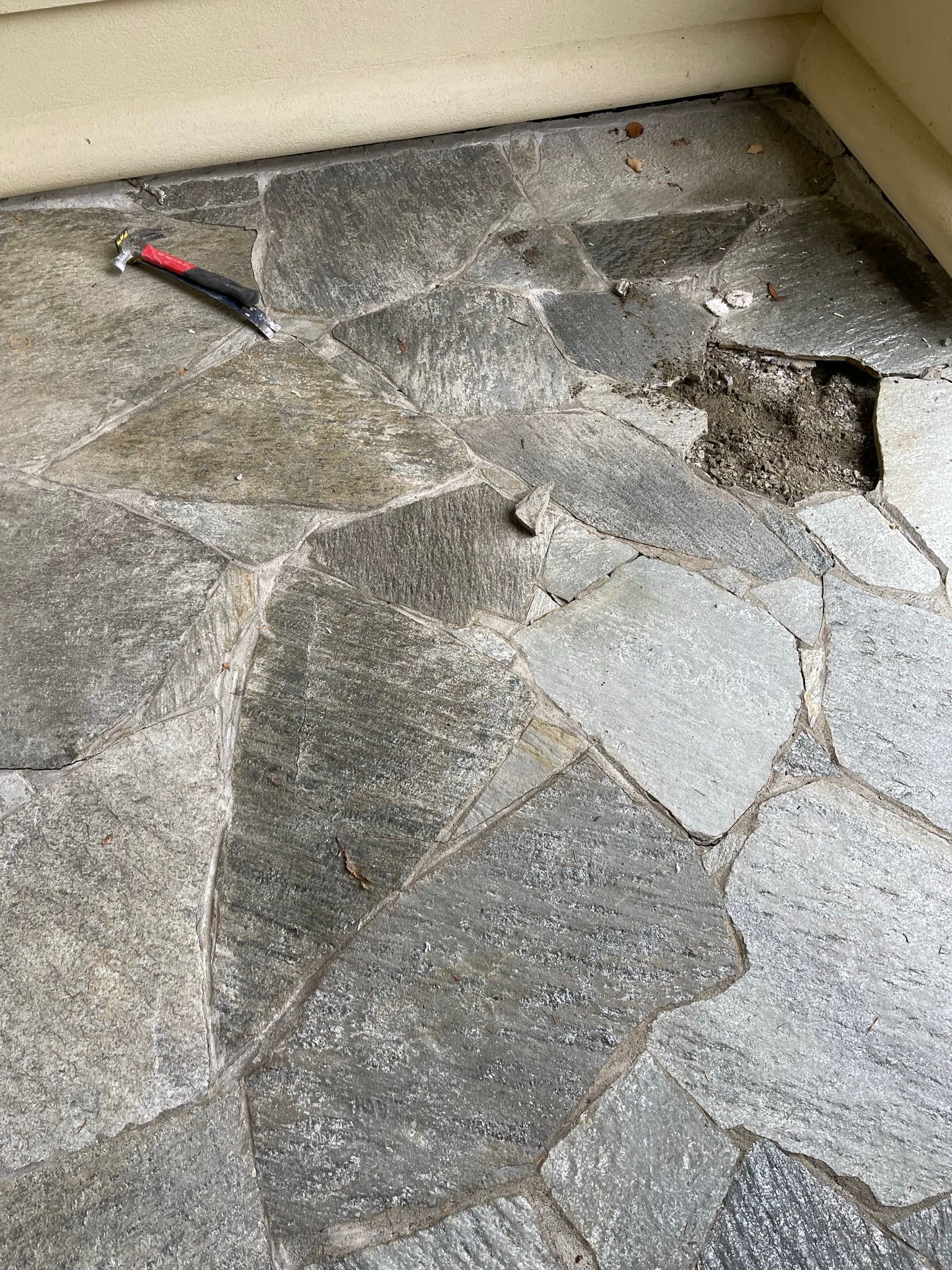  for Tony's Remodeling & Painting in Renton, WA