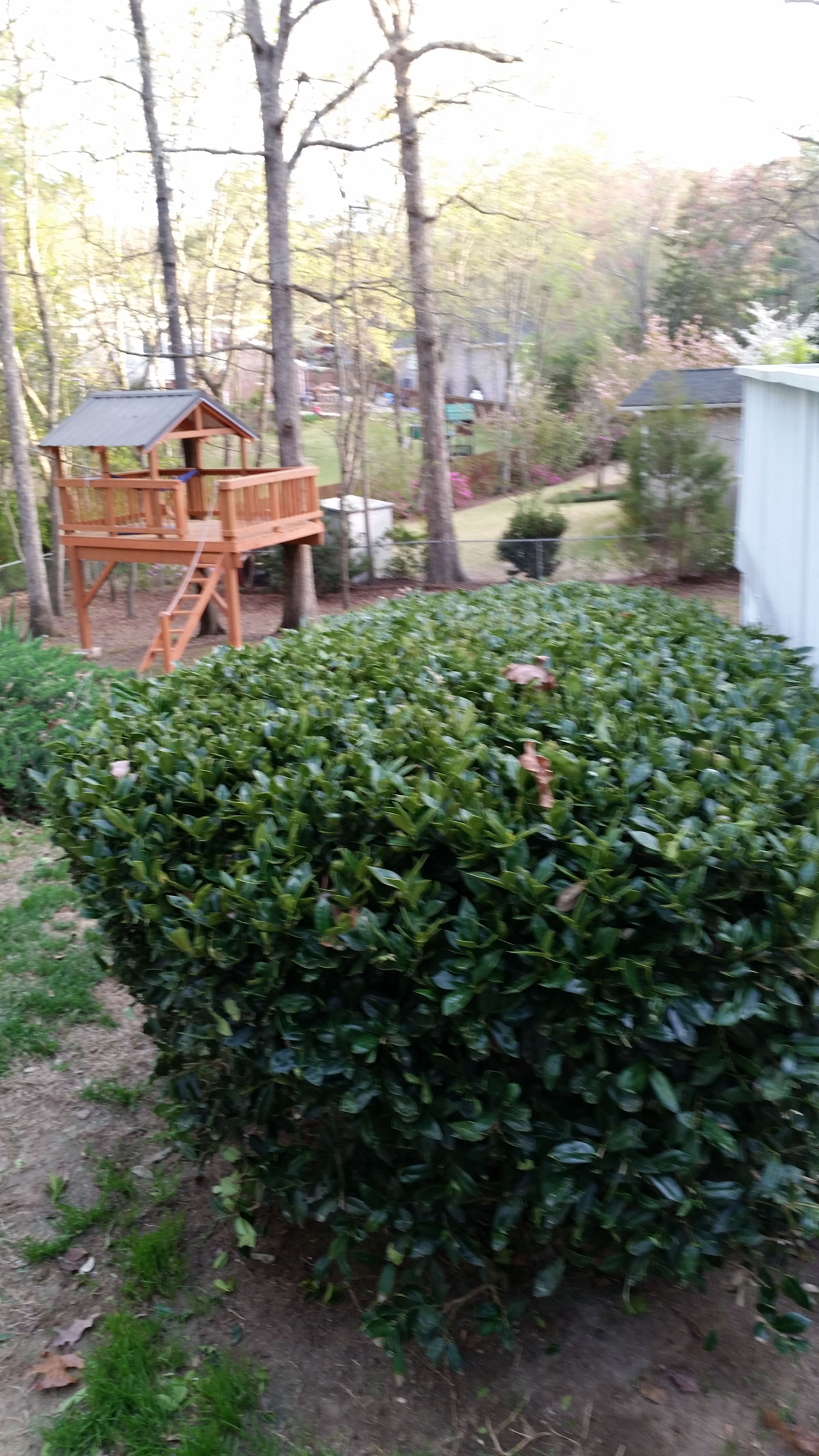  for Mancinas Home Improvement, Landscaping, & Lawn Care in Fayetteville, NC