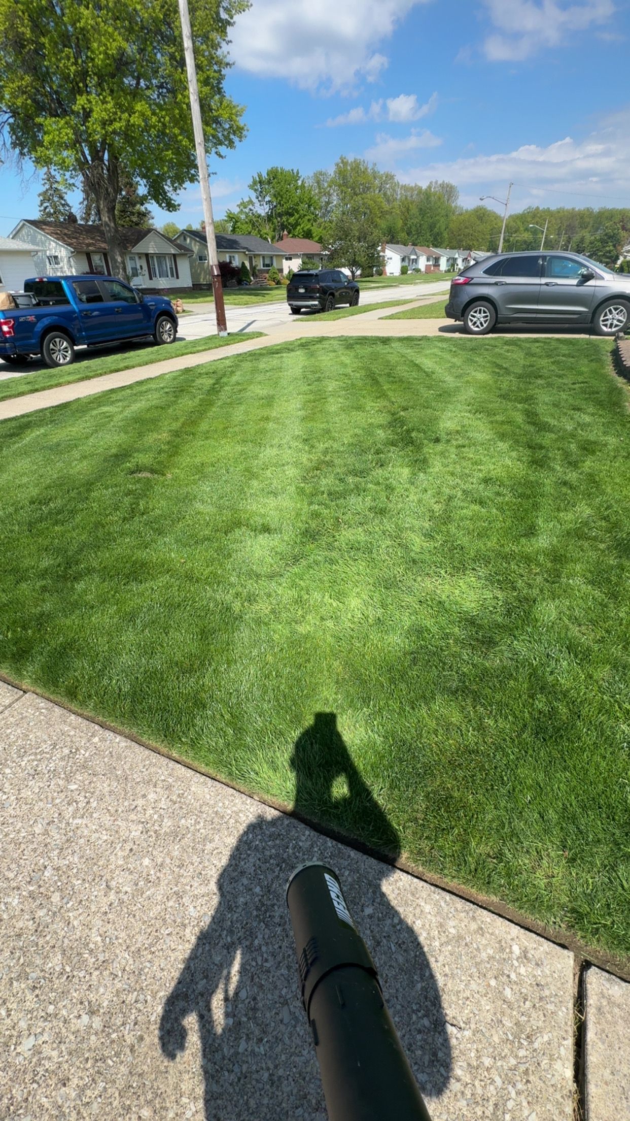  for Yard Theory in Willowick, OH