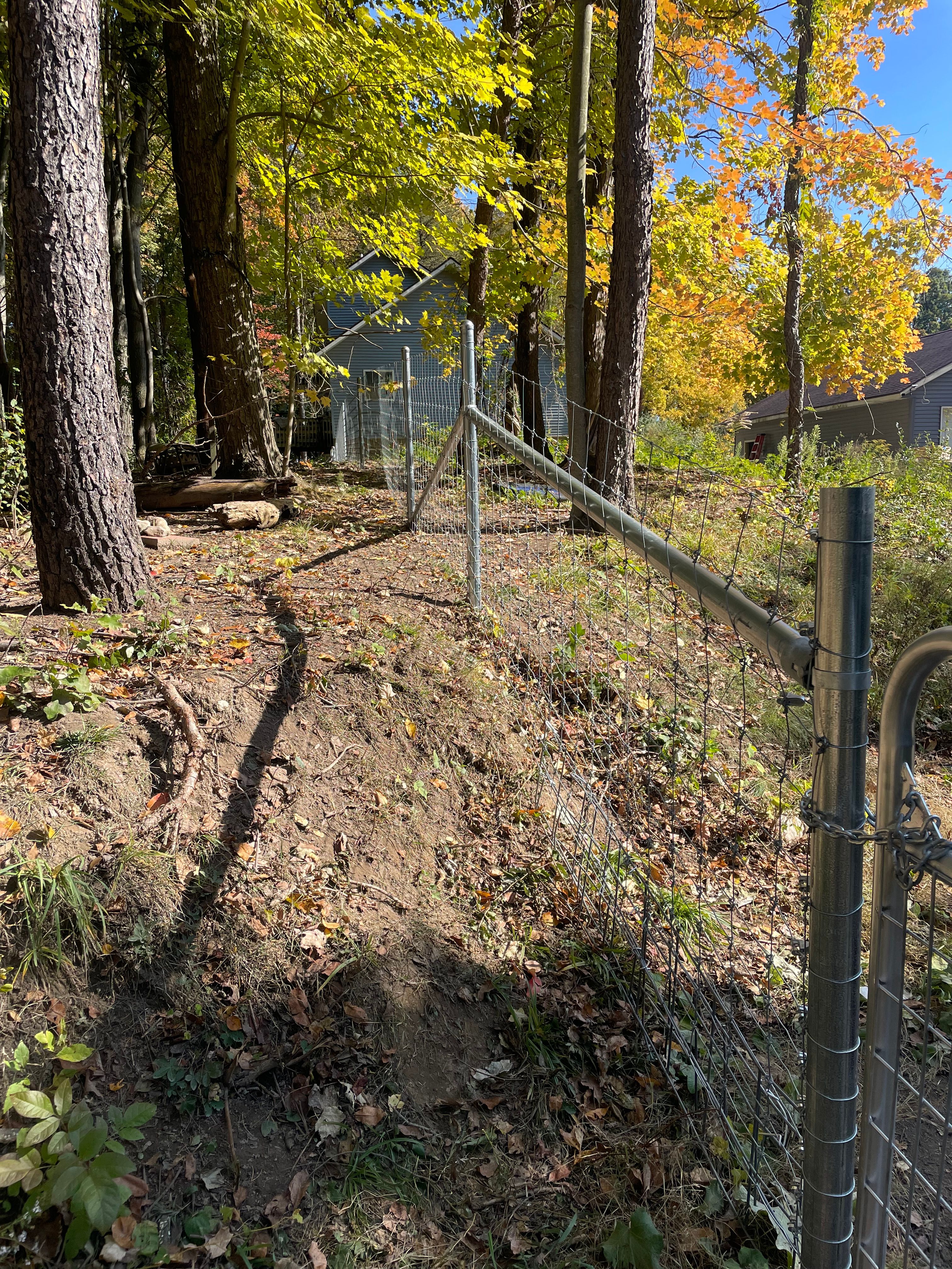  for TMF Services in Lapeer County, MI