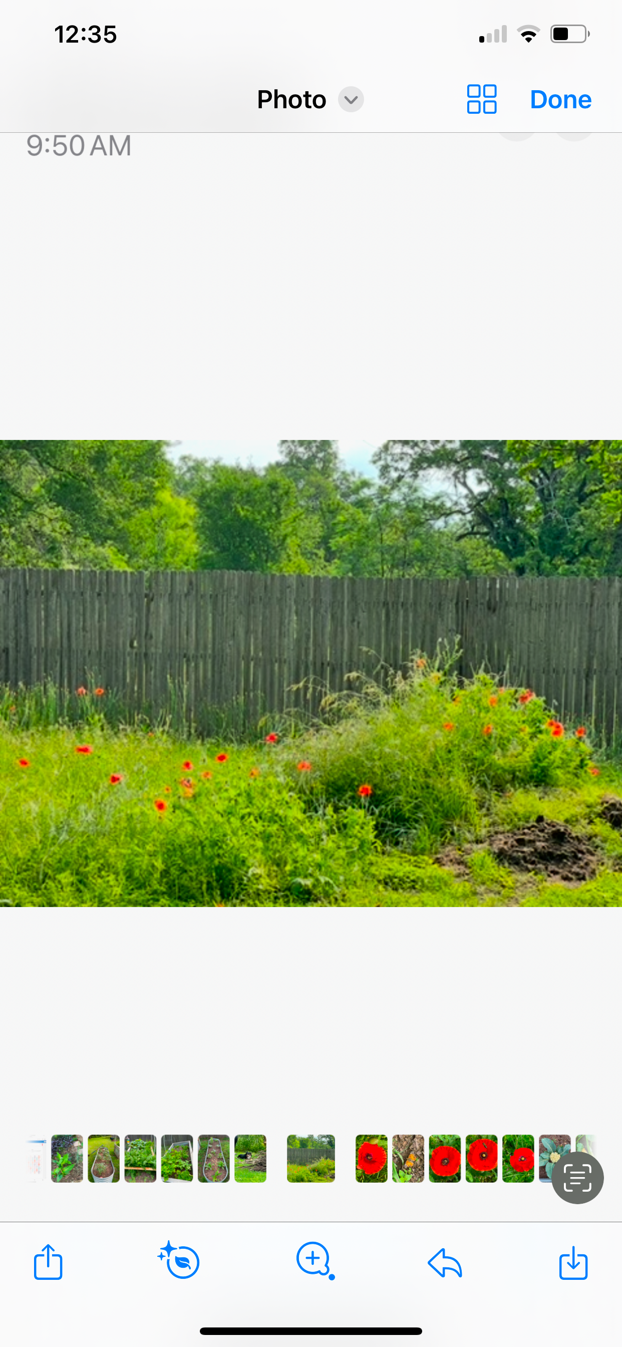  for CDagwood Fencing in Mineral Wells, TX