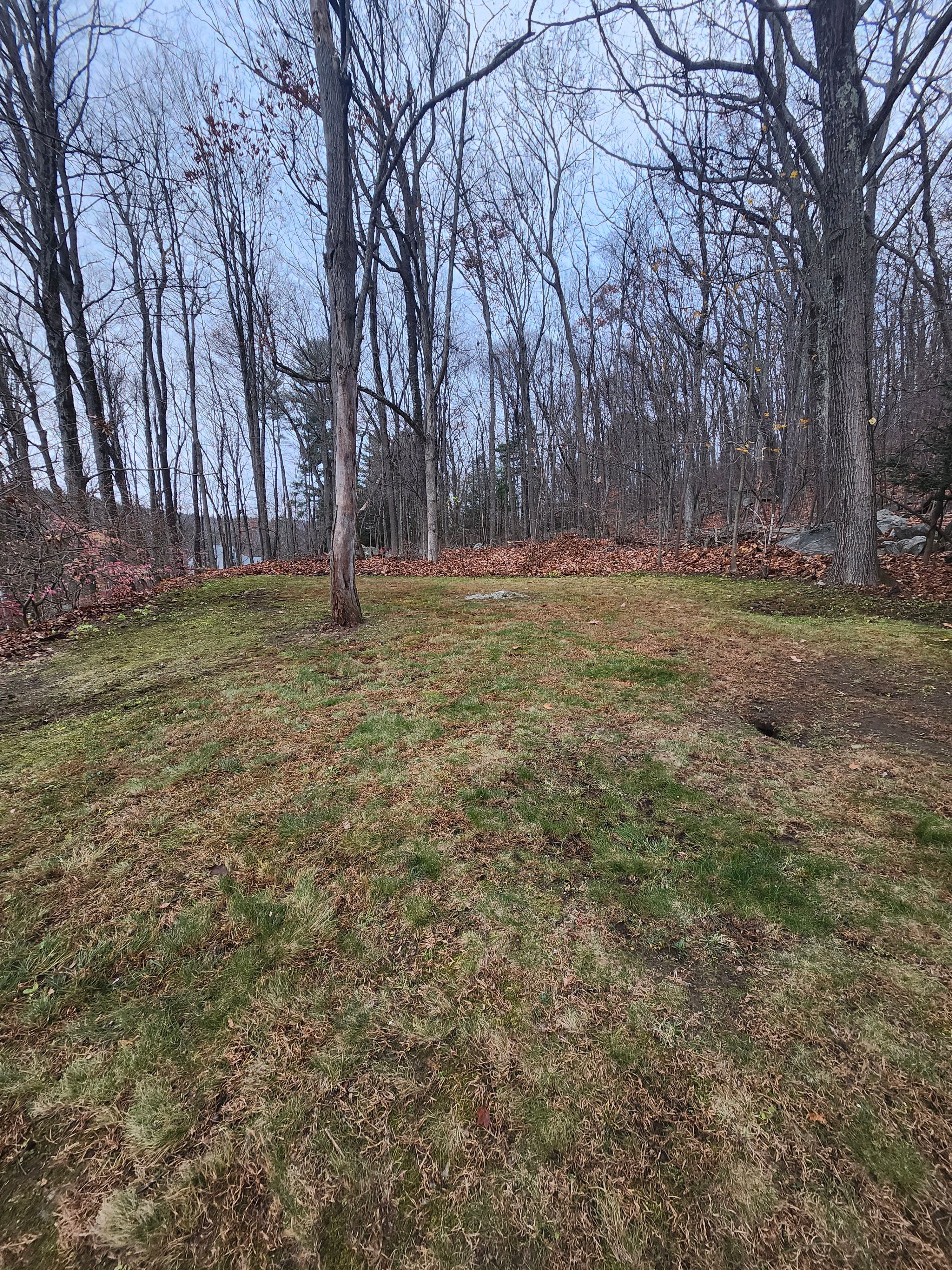  for Landscape Innovations LLC in Torrington, CT