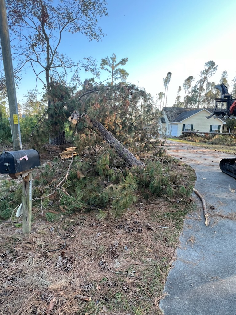  for Thompson Forestry Mulching & Stump Grinding in Douglas, GA