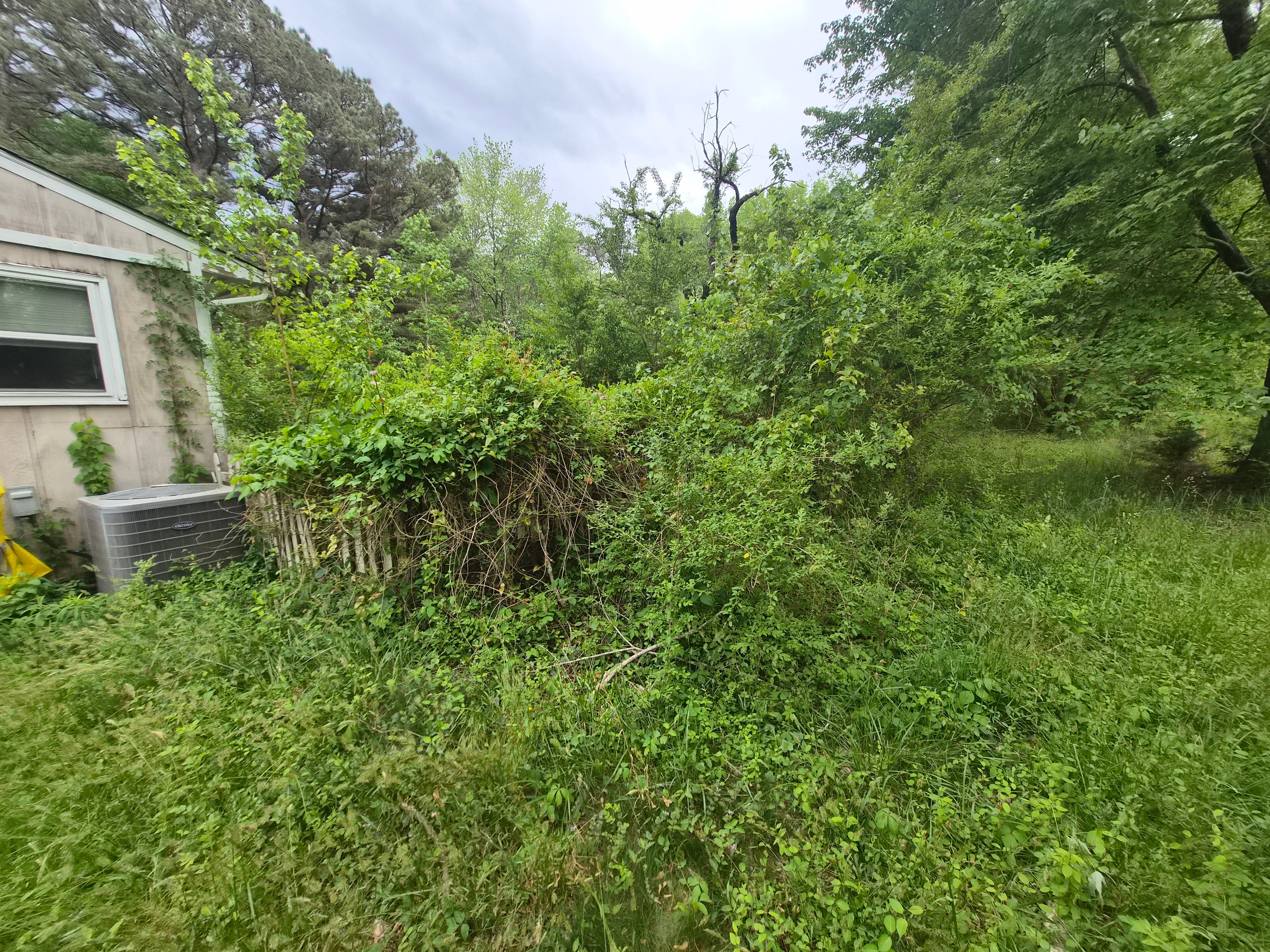 All Photos for 4 Points Lawncare LLC in Hayes, VA