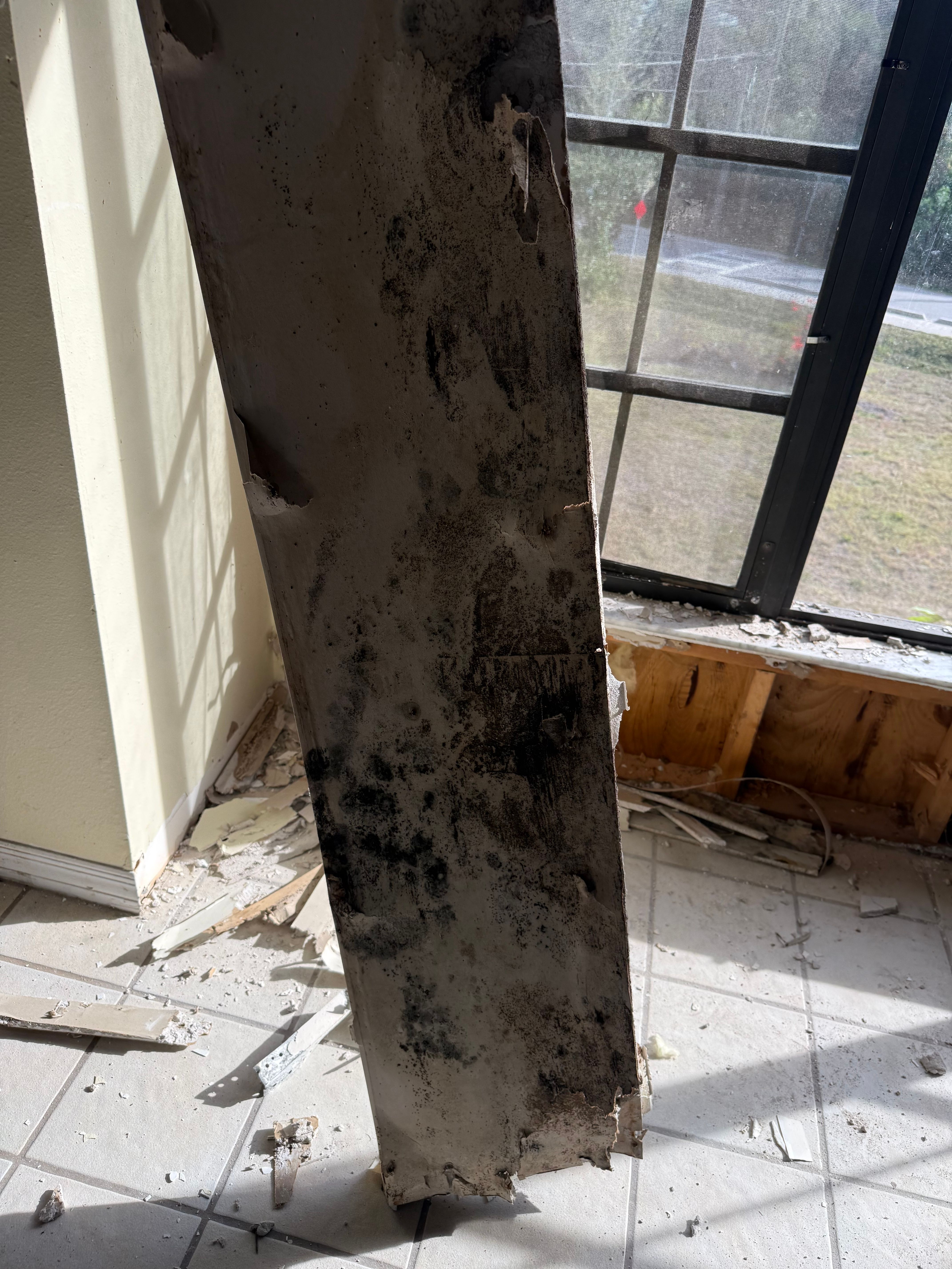  for N&D Restoration Services When Disaster Strikes, We Come In in Cape Coral,  FL