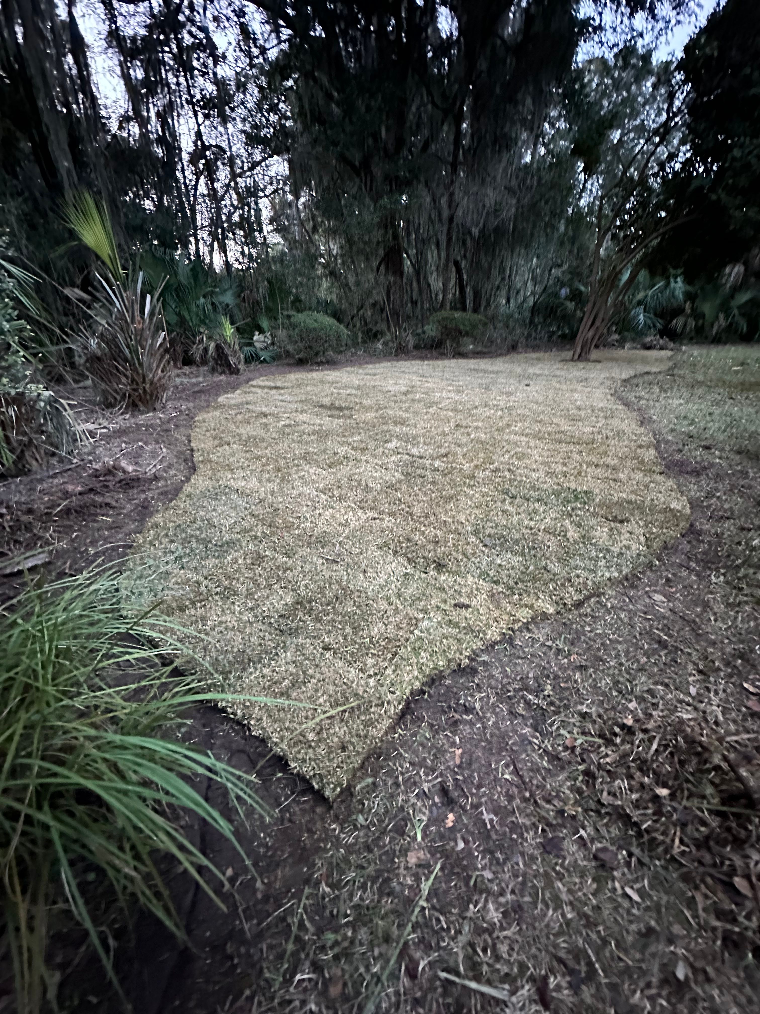  for Coastalscapes Landscaping & Turf Management  in Savannah, GA