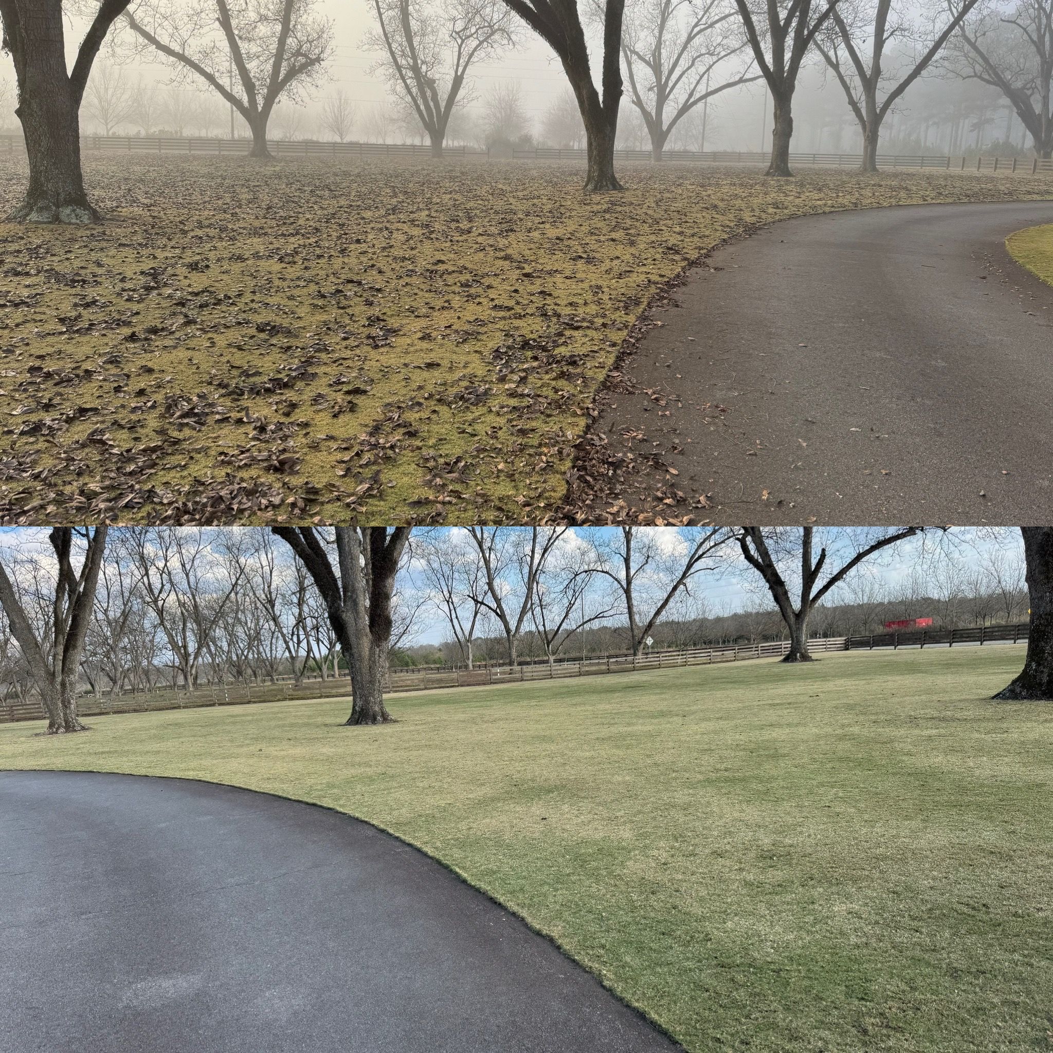 All Photos for Camalett Services in Perry, GA