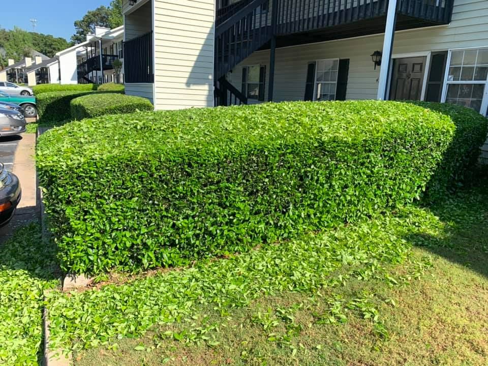 All Photos for Bega Landscape Services in Atlanta, Georgia