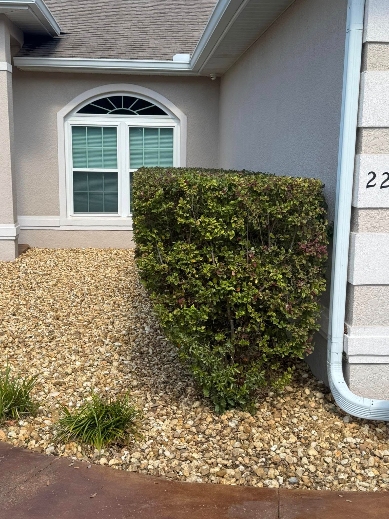 All Photos for Young's Lawn Services LLC in Ocala, FL