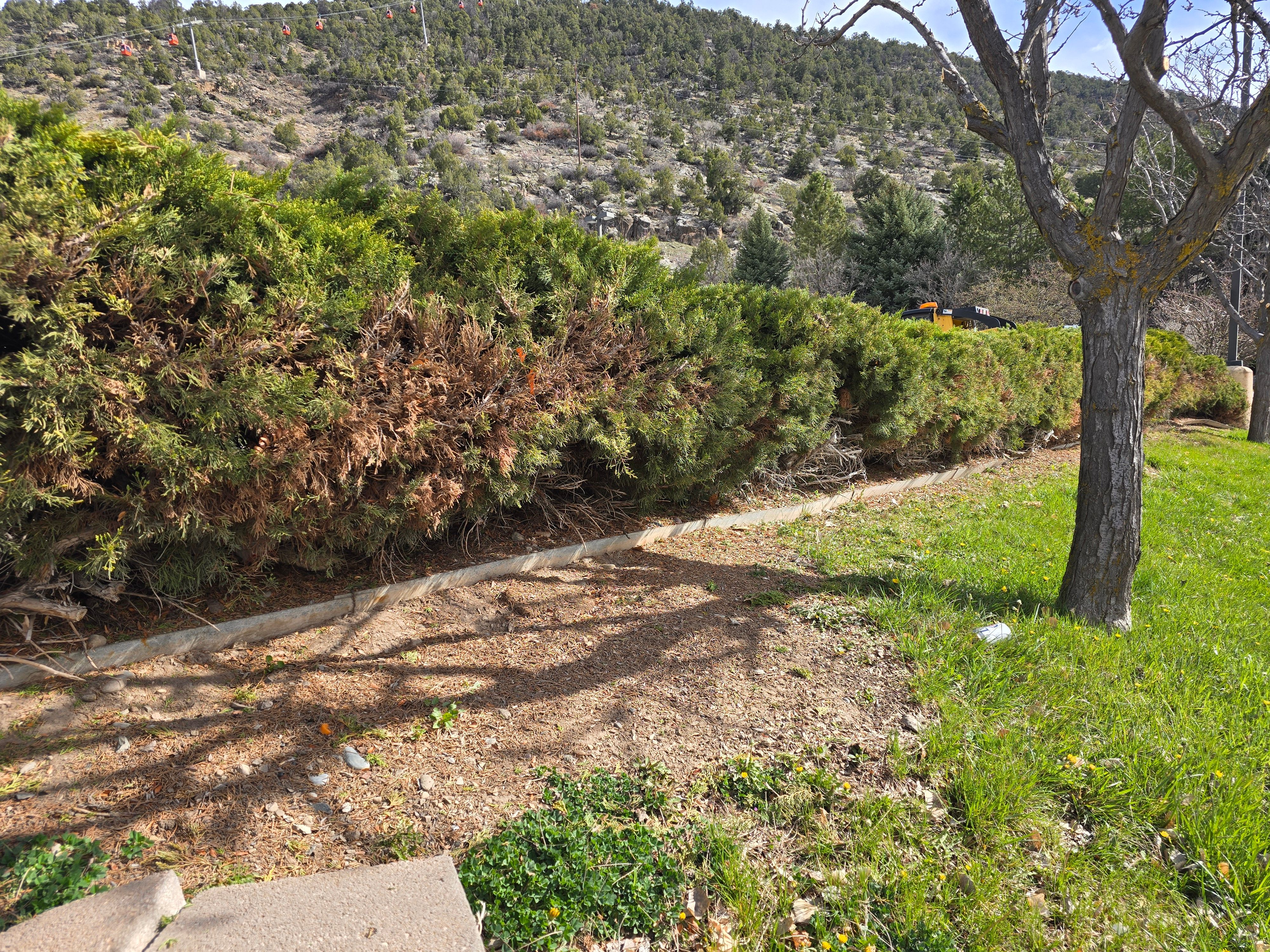 All Photos for LRS: Landscape, Rescue, Snow in Silt, CO