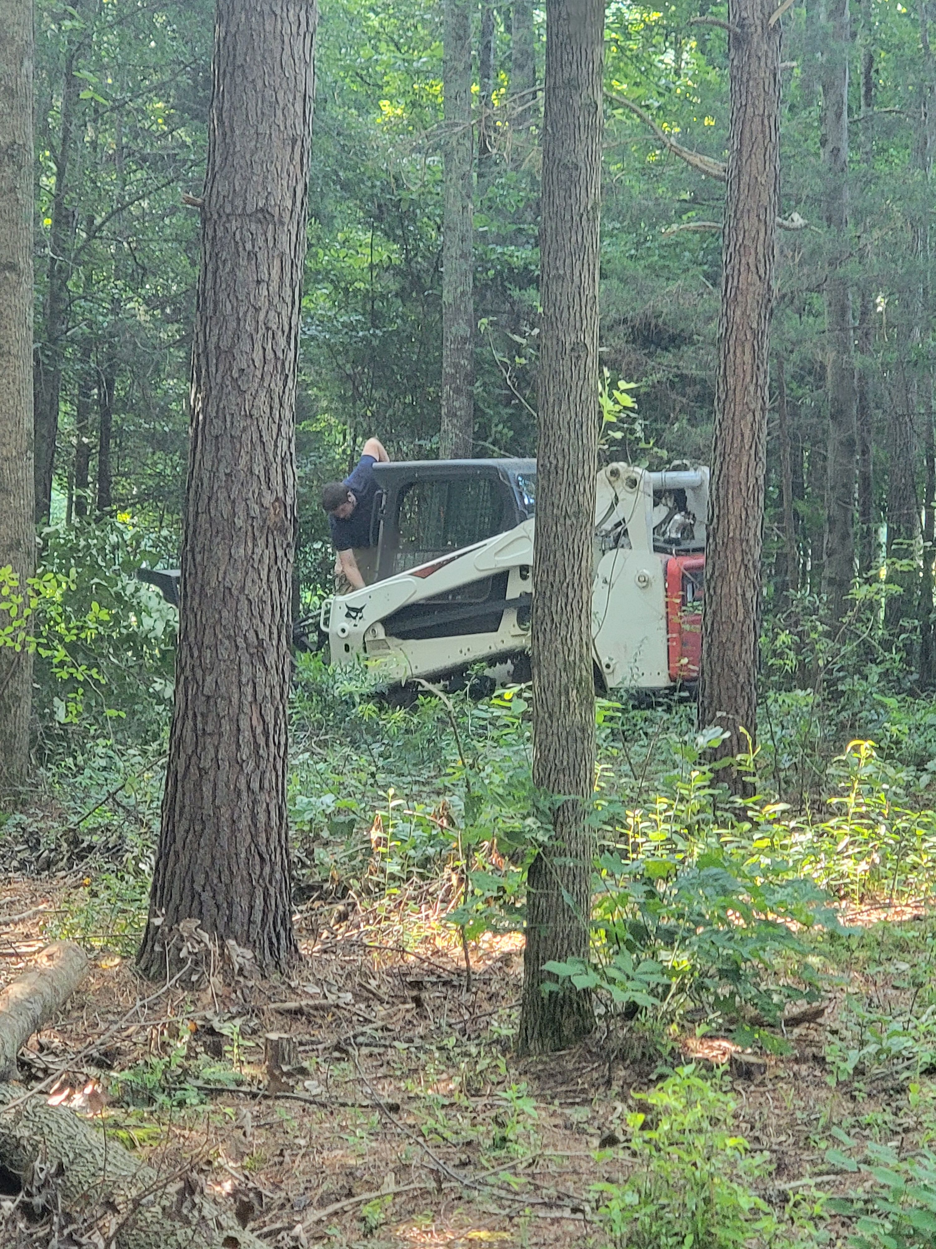  for Z's Land Management & Forestry Mulching in Smithville, TN