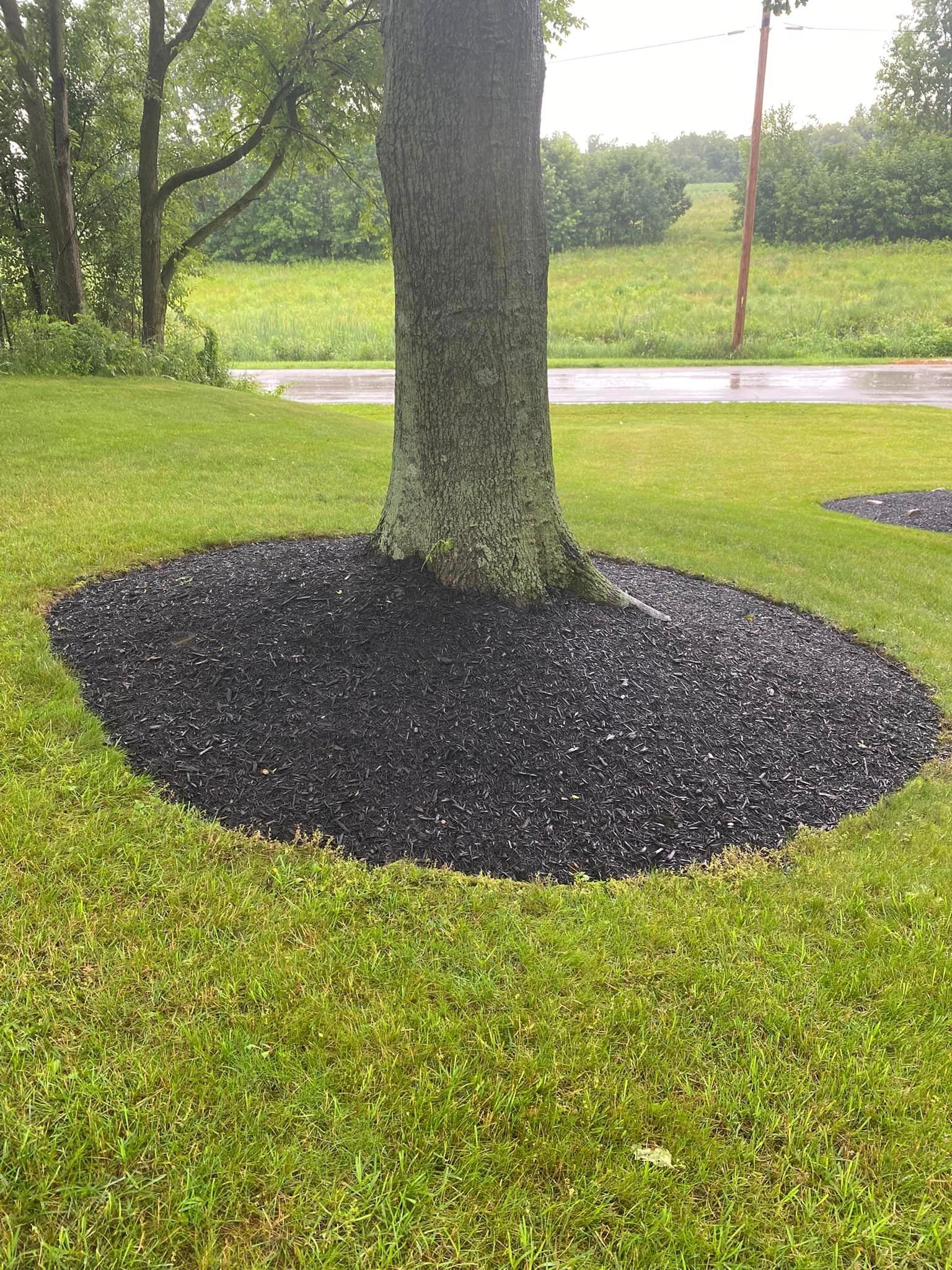  for OT Lawn and Landscaping LLC in Carey, OH