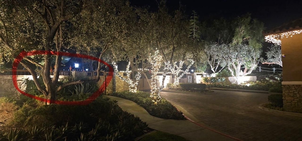 All Photos for Elite Shine Property Services: The #1 Choice for Window & Exterior Cleaning in South OC in Orange county, CA