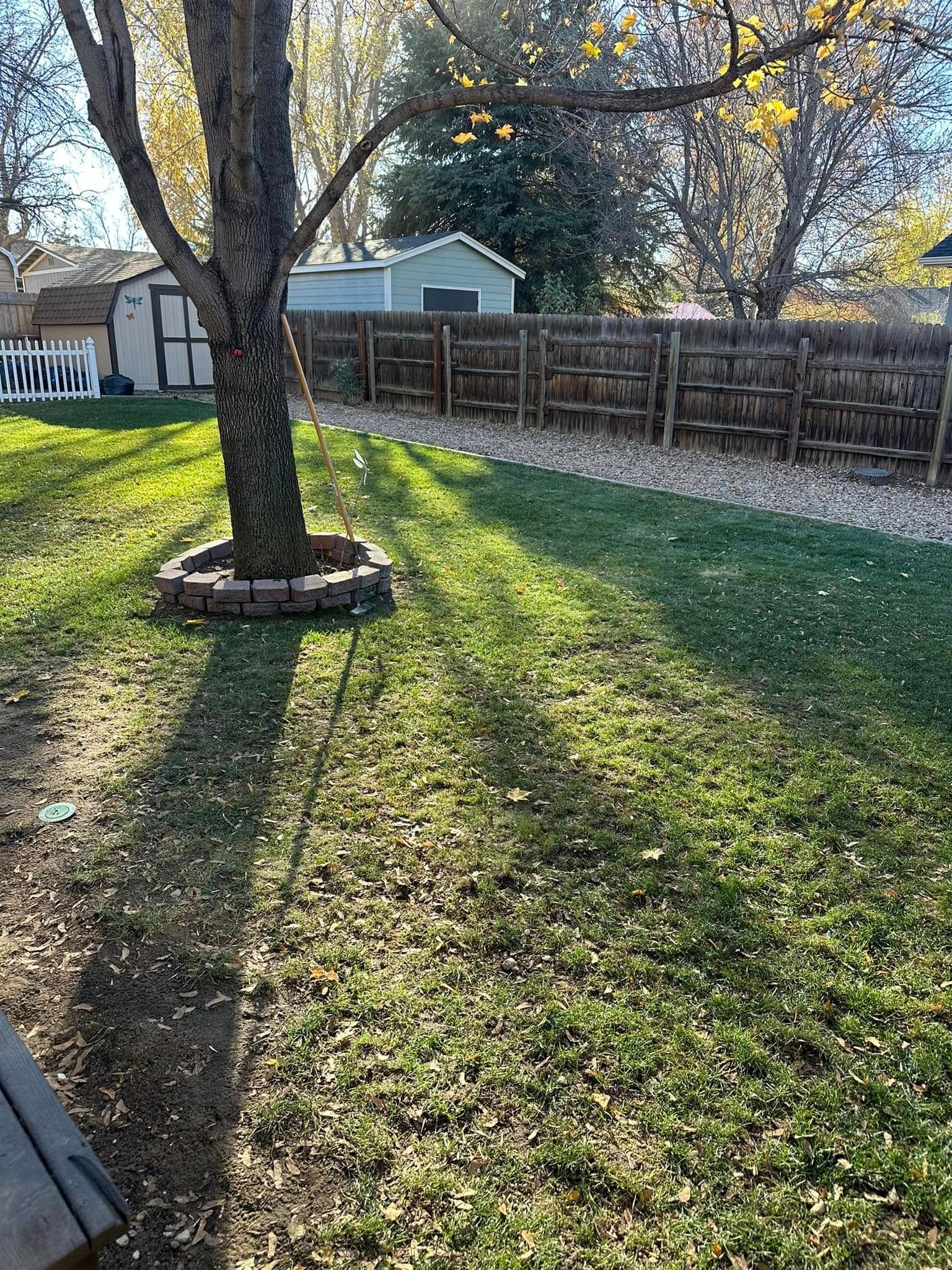 All Photos for Manscaped Lawn Care in Firestone, CO