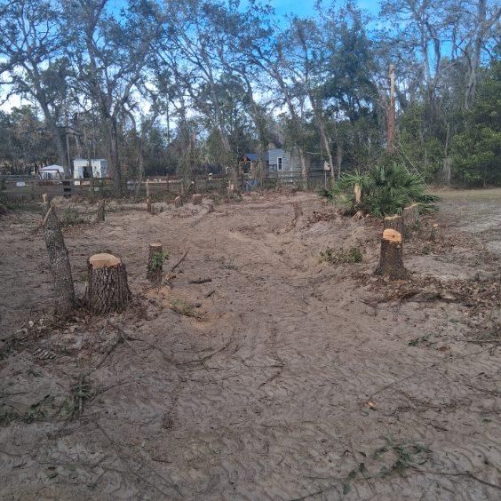  for Perfect Cut Lawn & Tree Care in Citrus County, FL