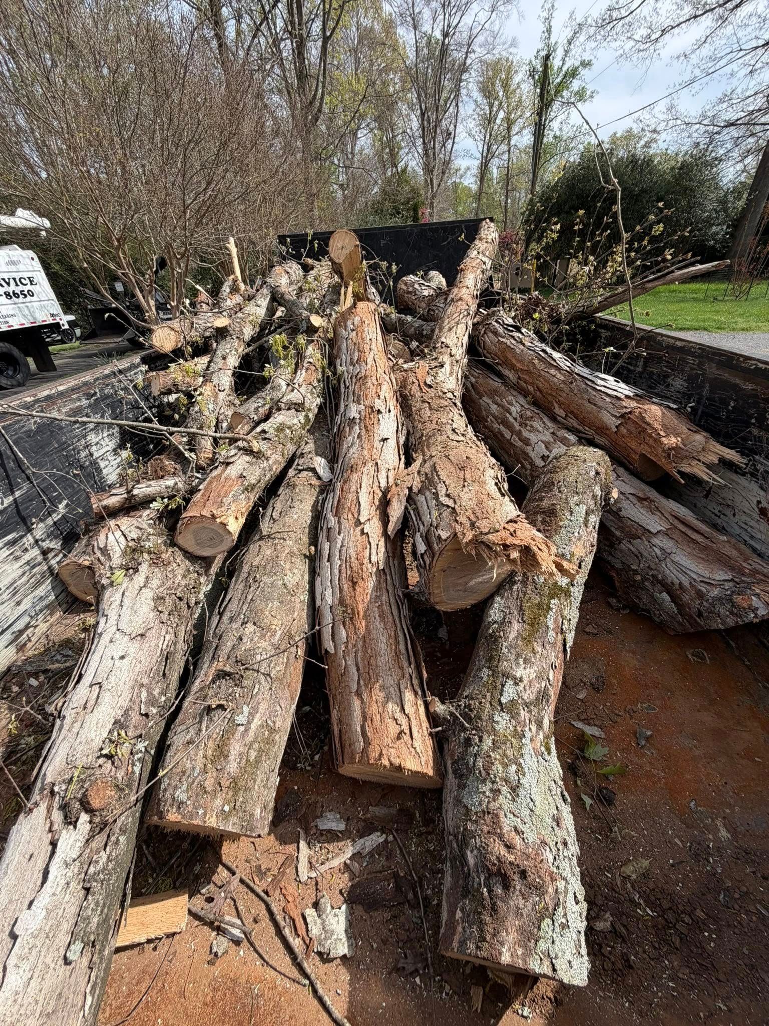 for ABC Tree Service in Dobson, NC