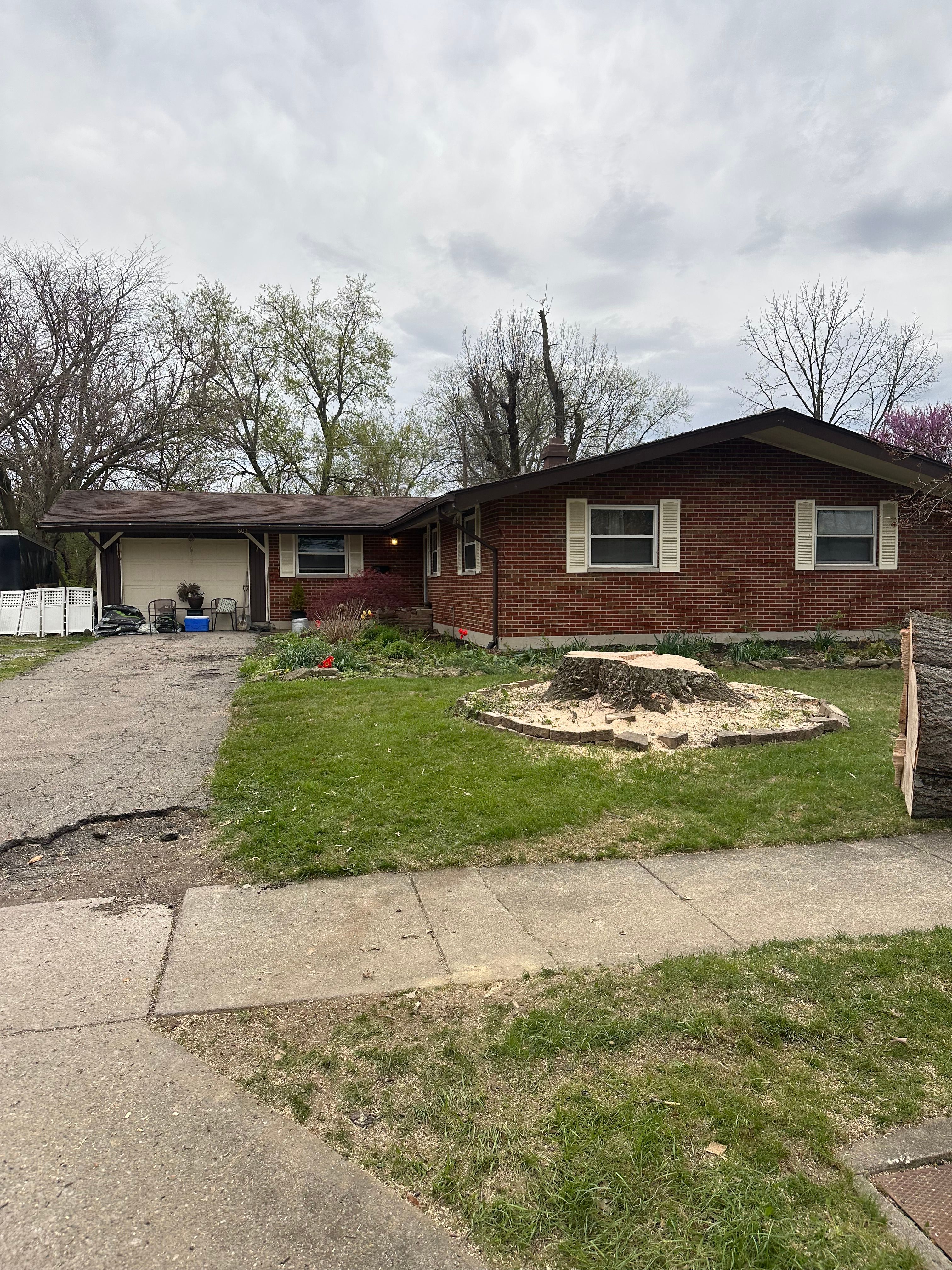 All Photos for Pro Tree Trim & Removal, Llc in Dayton, OH