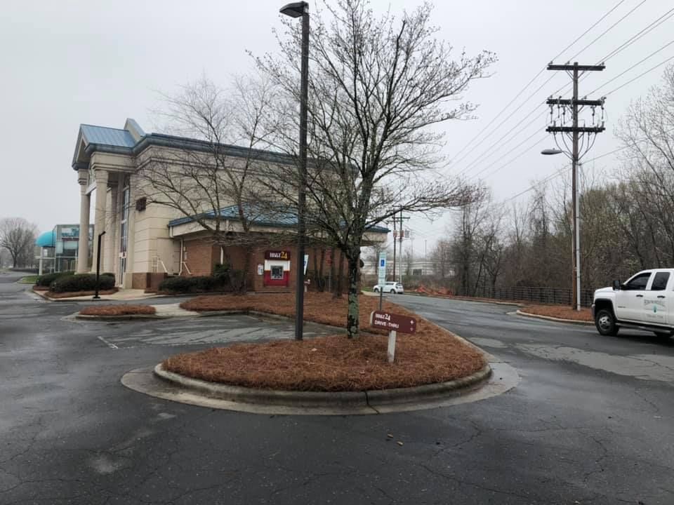  for Pecina Pine Needles in Monroe, NC
