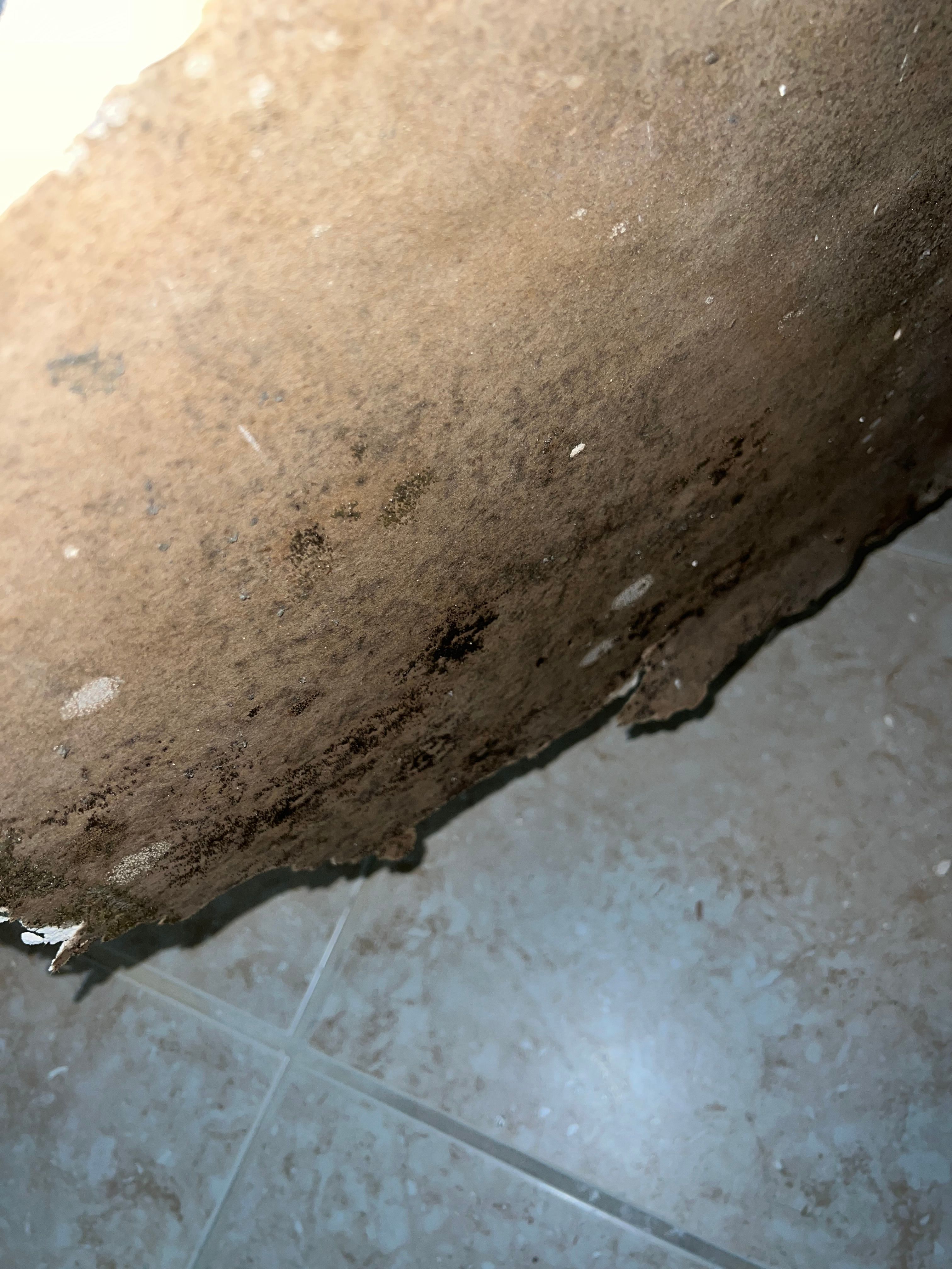  for N&D Restoration Services When Disaster Strikes, We Come In in Cape Coral,  FL