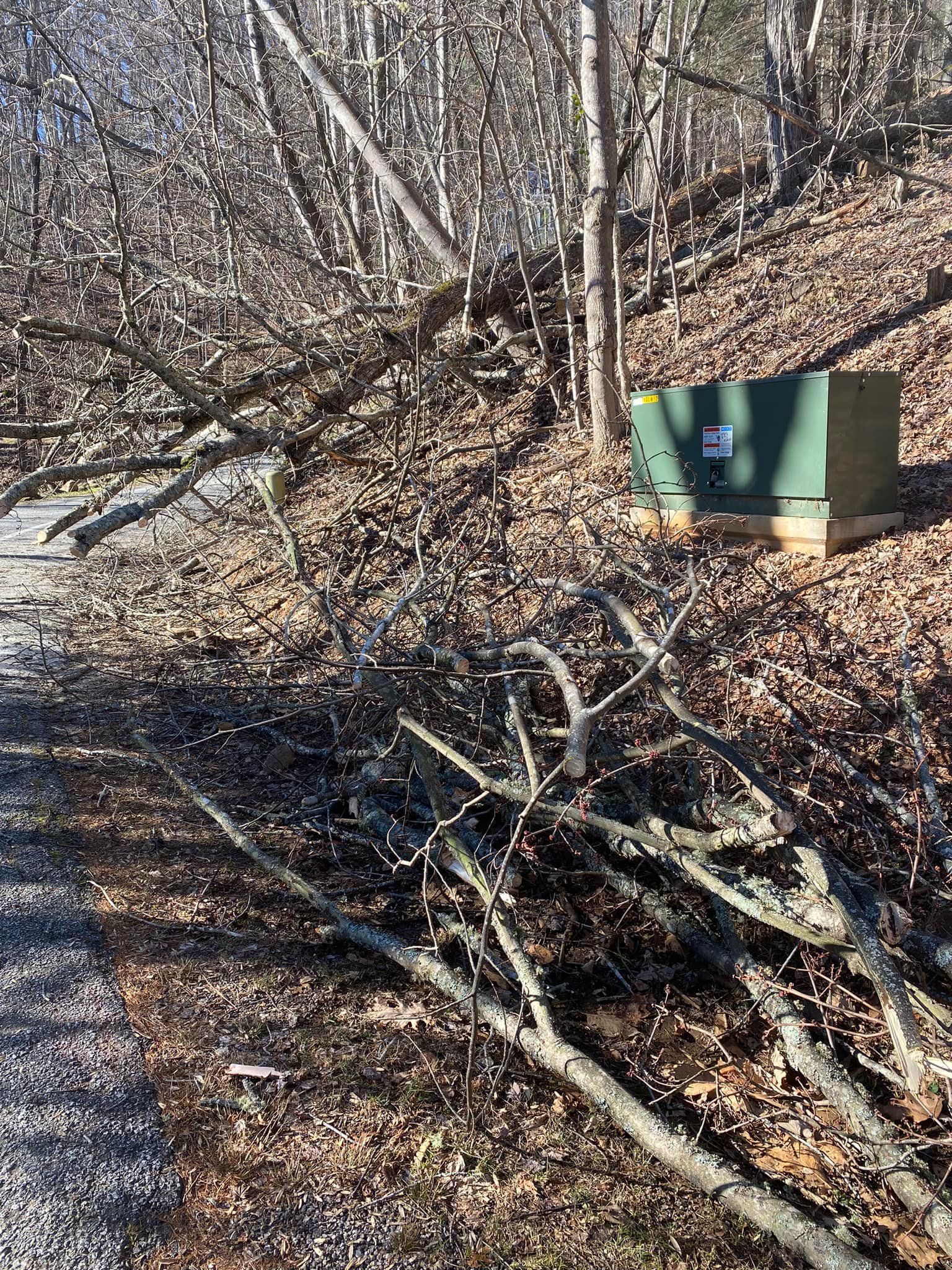  for Andy's Tree Service in Zirconia, NC