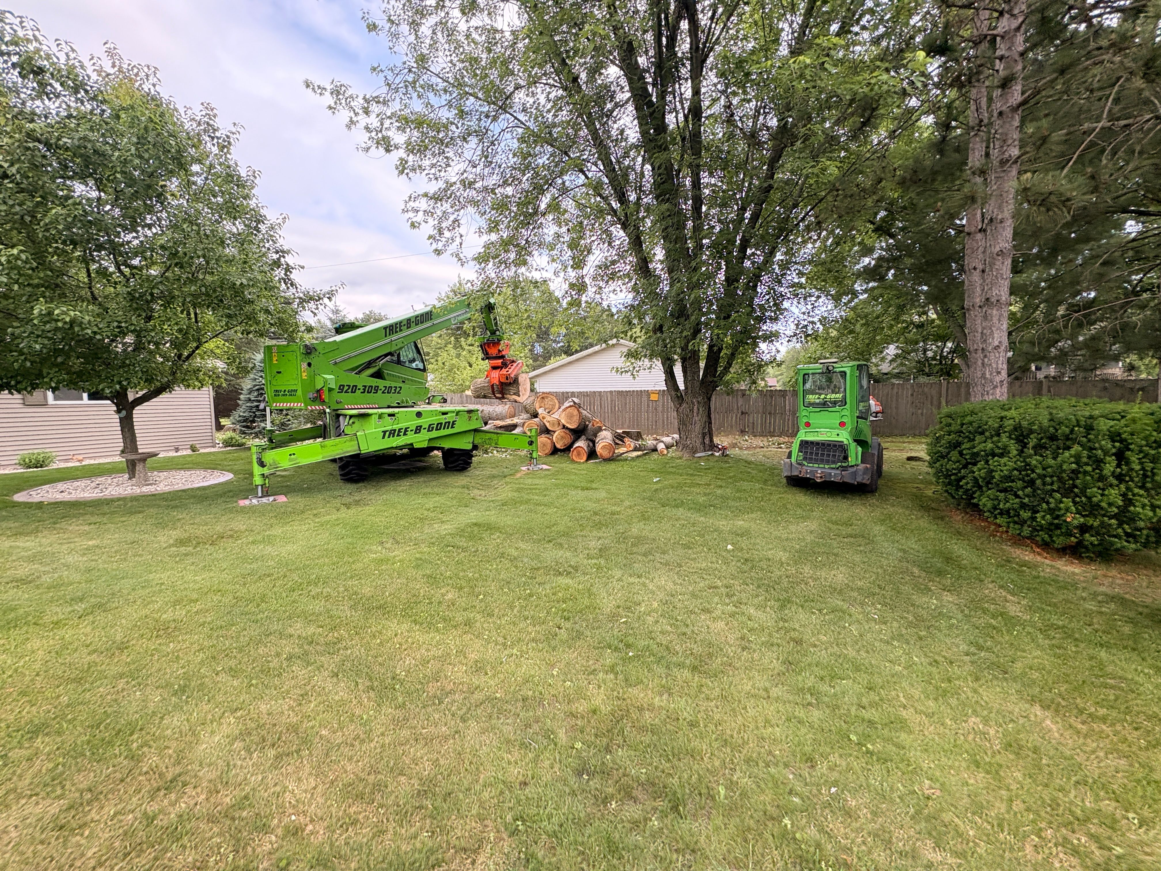 All Photos for Tree-B-Gone in Shawano, WI