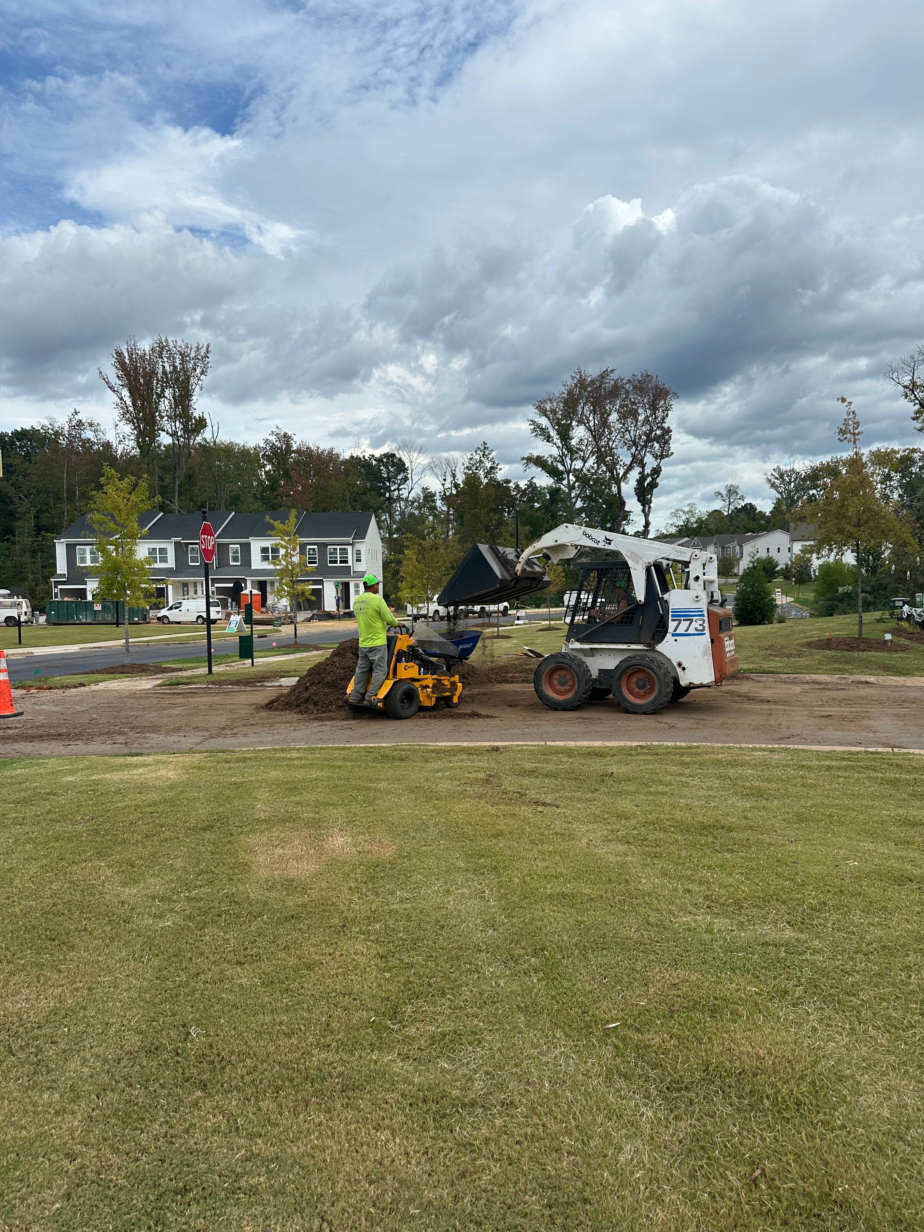  for Pecina Pine Needles in Monroe, NC