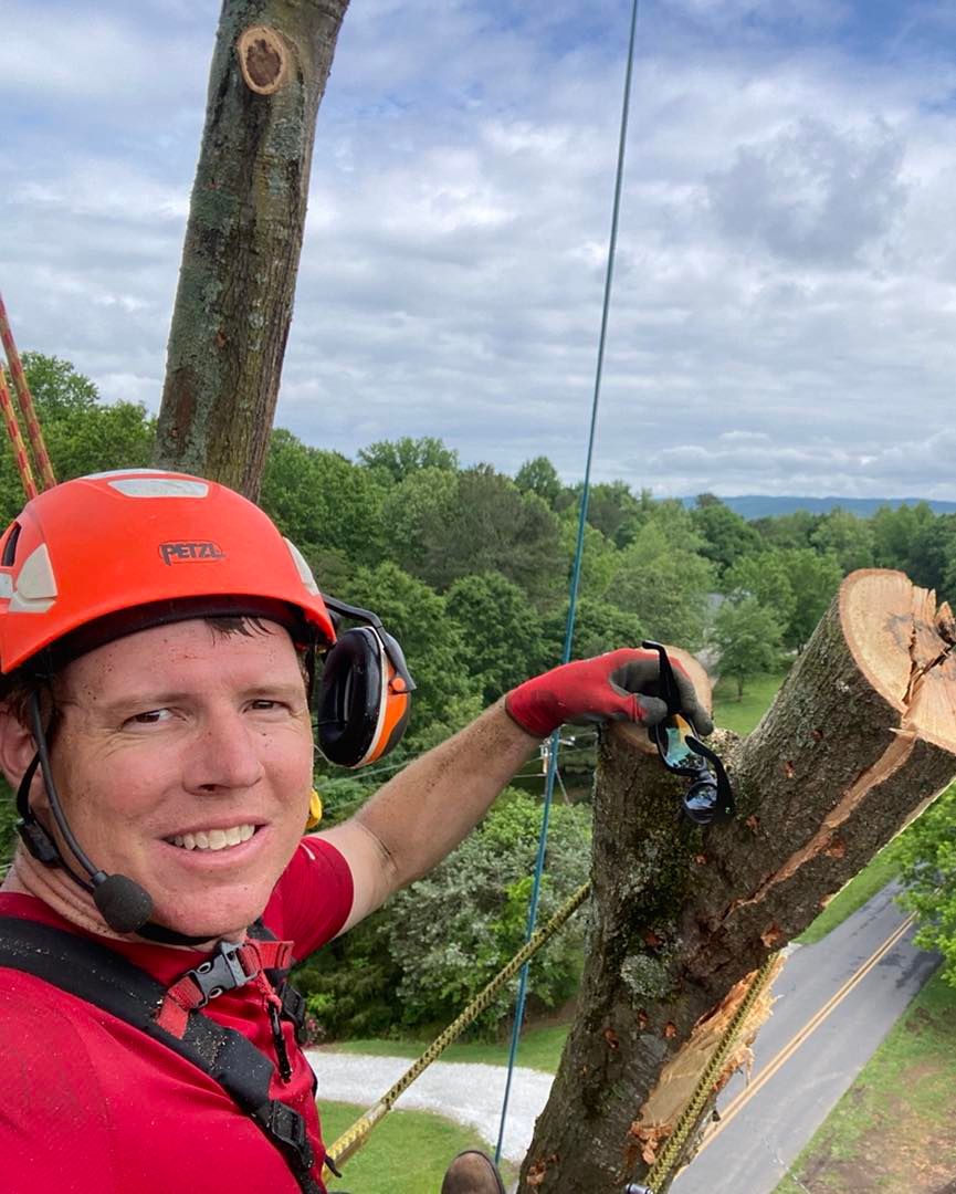 Tree Removal for Pinedown LLC in Cherokee County, GA