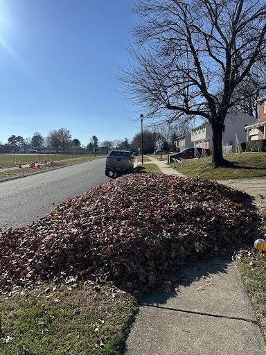 All Photos for A Better Lawn Service LLC in Bel Air, MD