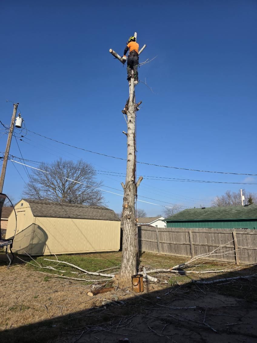  for Oklahoma Tree Guy in Bartlesville, OK