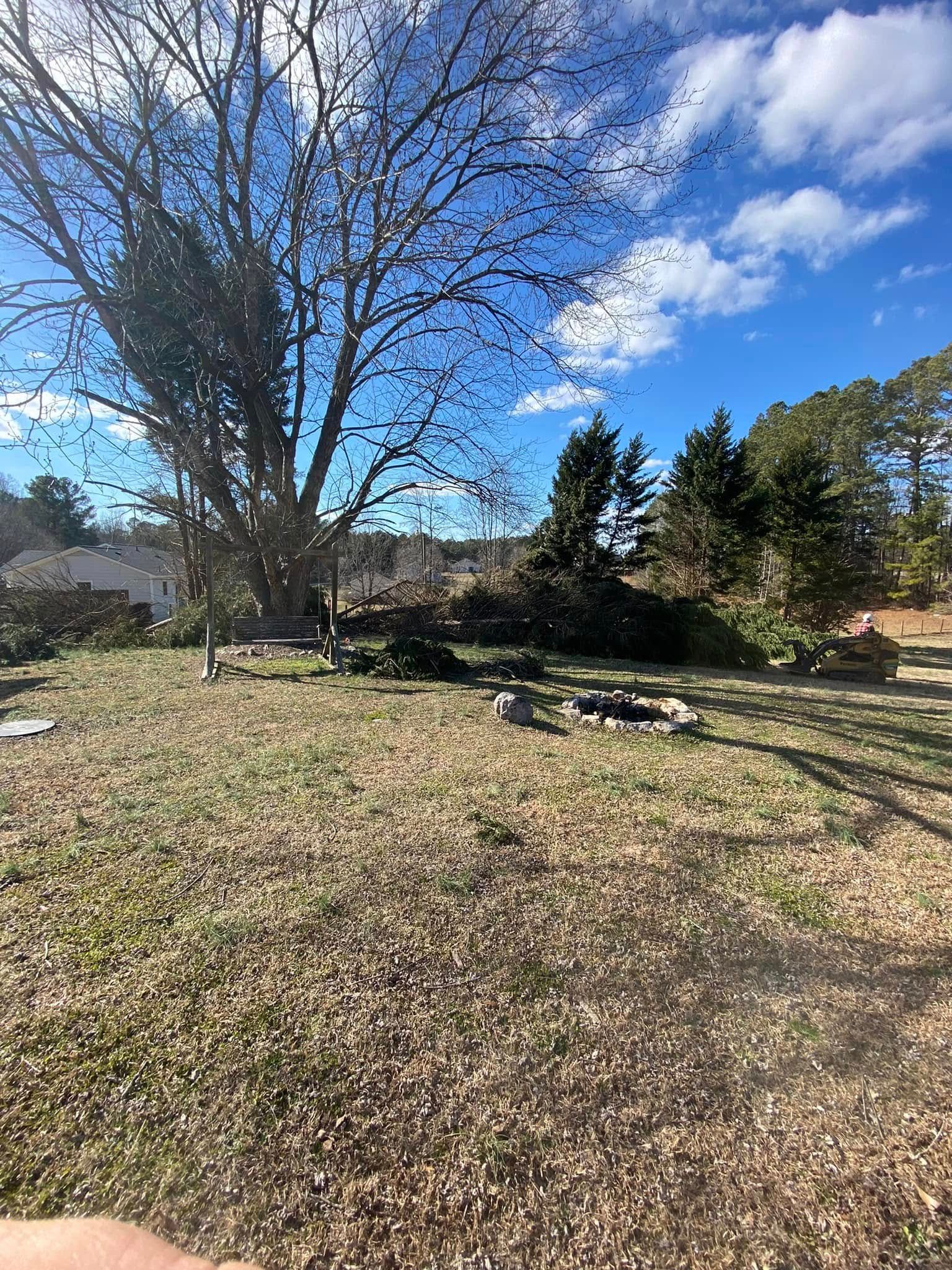 Tree Removal for MTJ Tree Removal LLC in Zebulon, NC