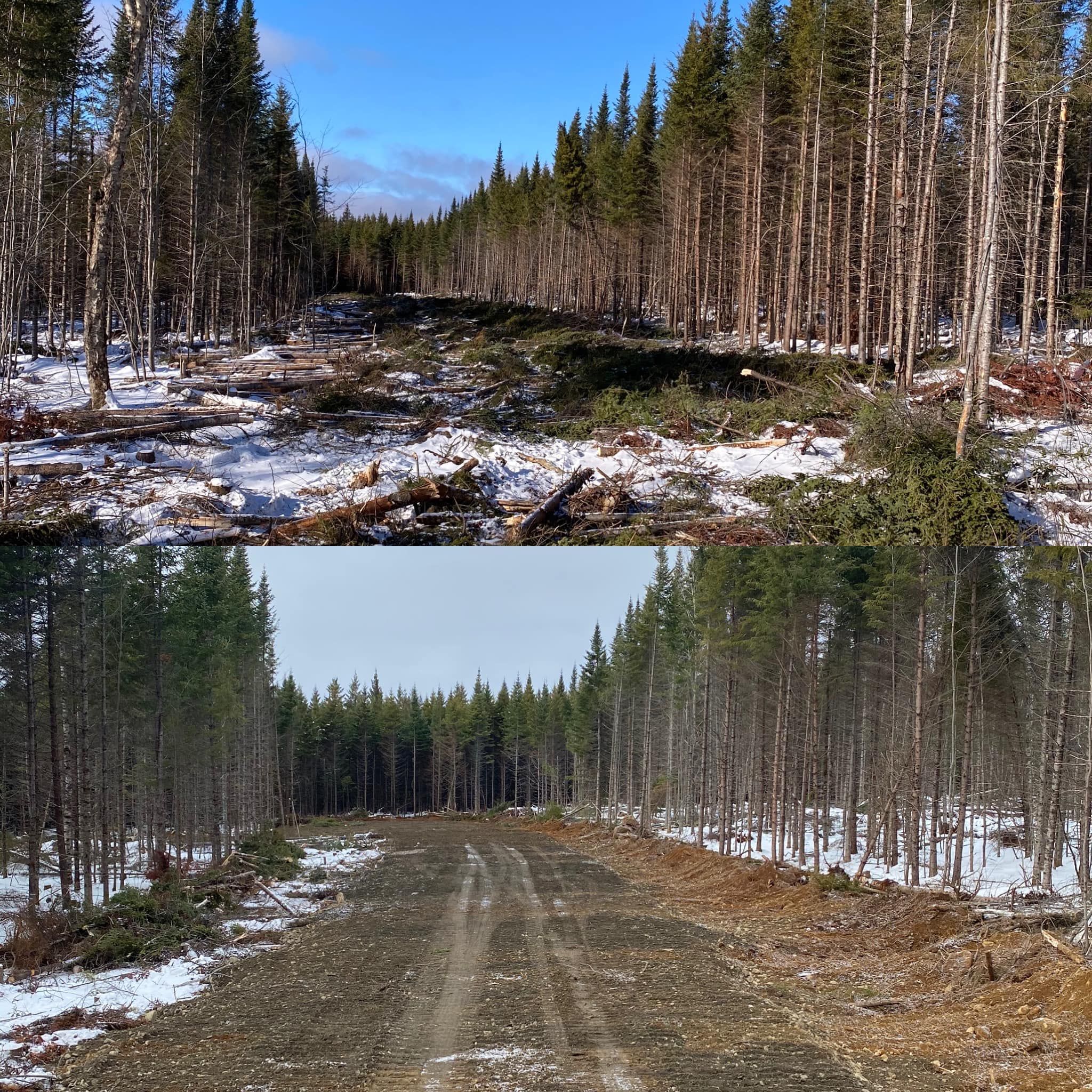  for Gardner Road Company in Winn, ME