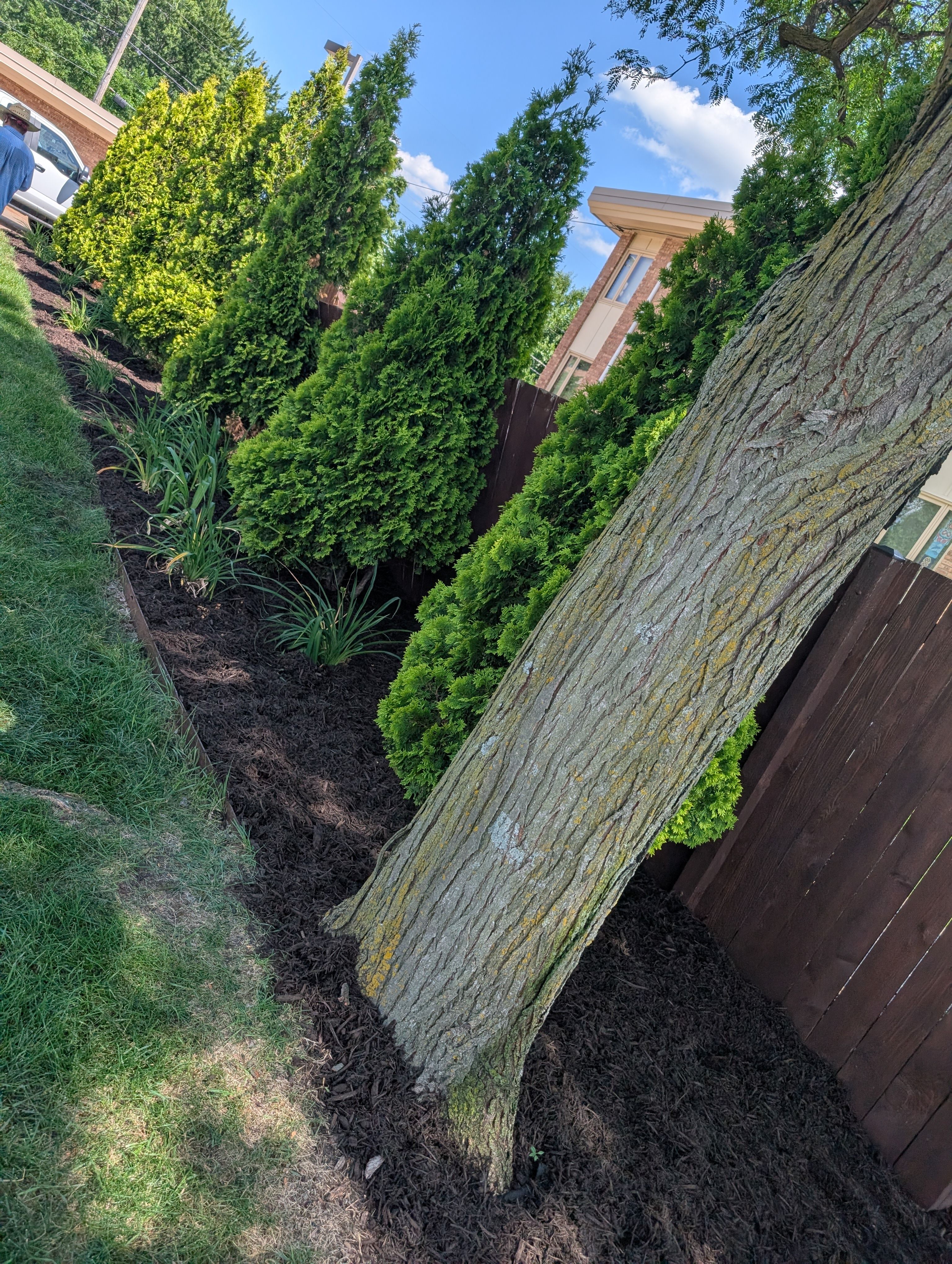  for Urban Green Lawncare & Snow Removal in Lakeville, MN