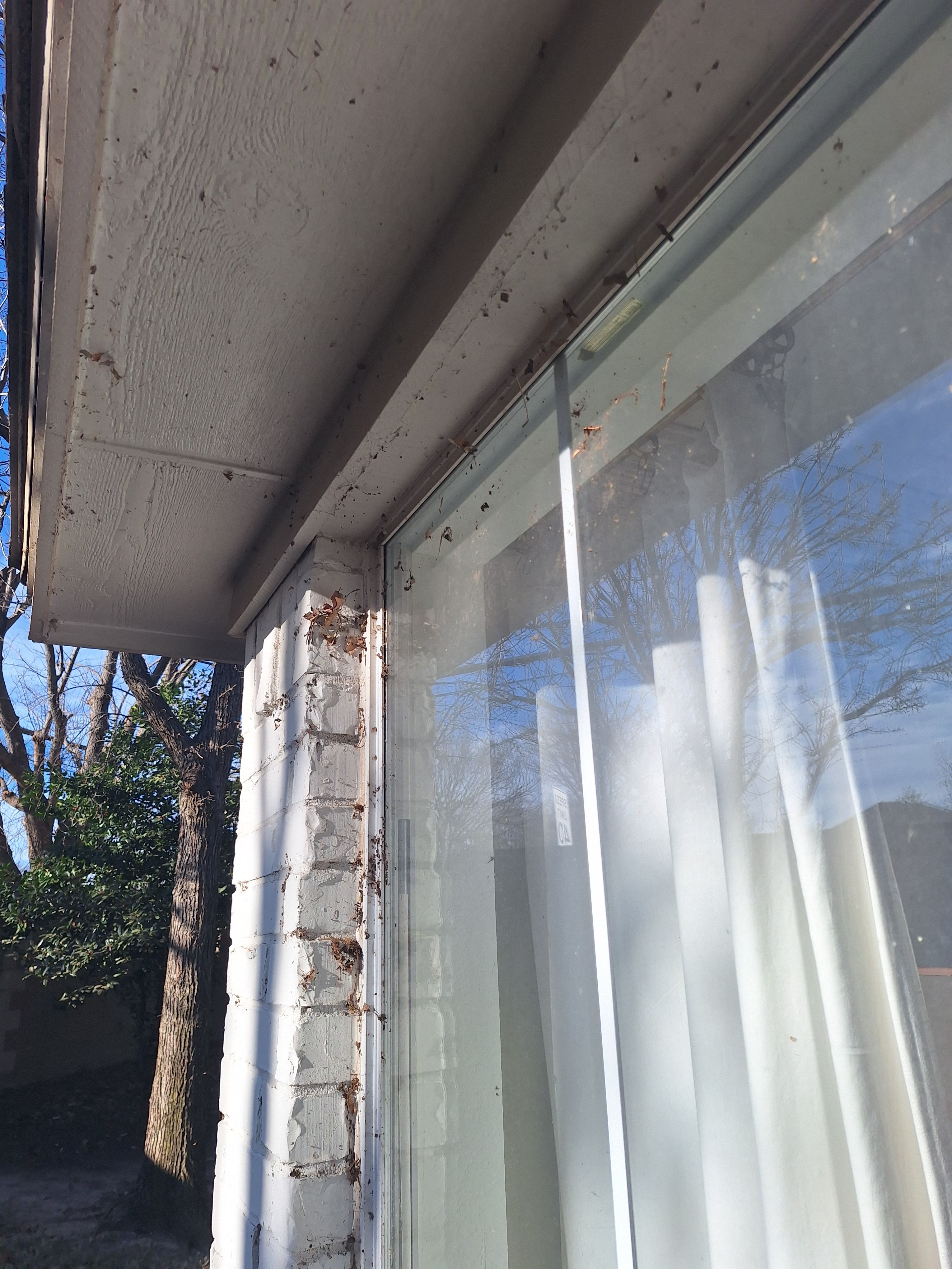  for Connected Exterior Cleaning in Dallas, TX