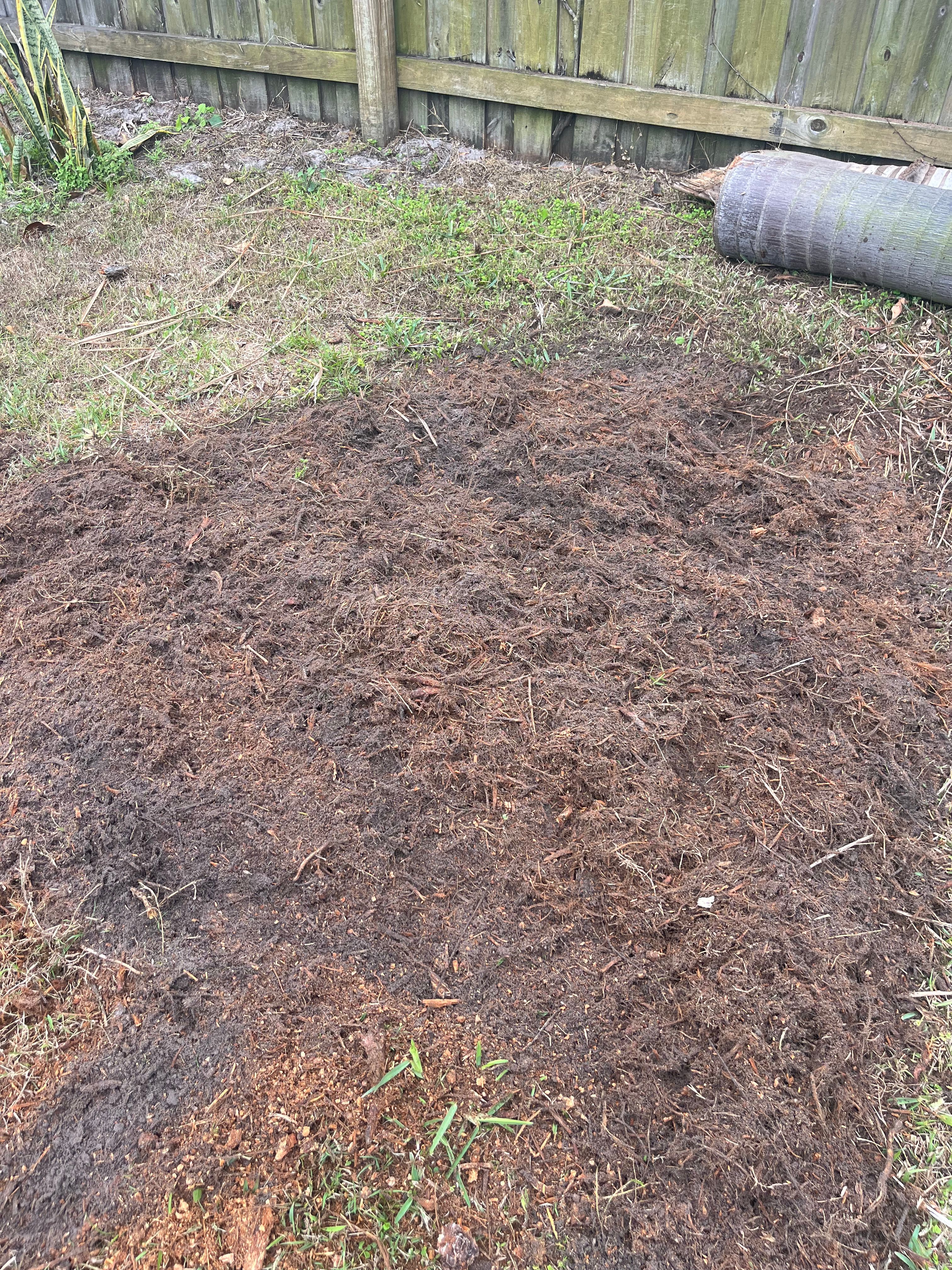 for KB’s Stump Removal in Seminole, FL