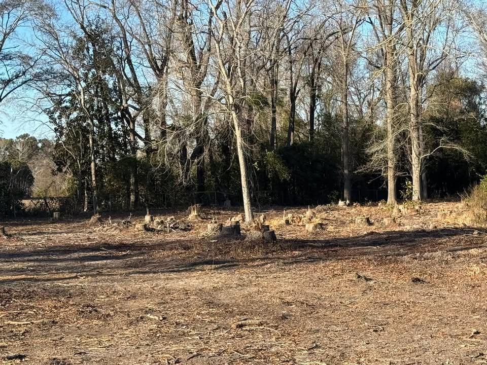 All Photos for Clean Acres in Hartsville, SC