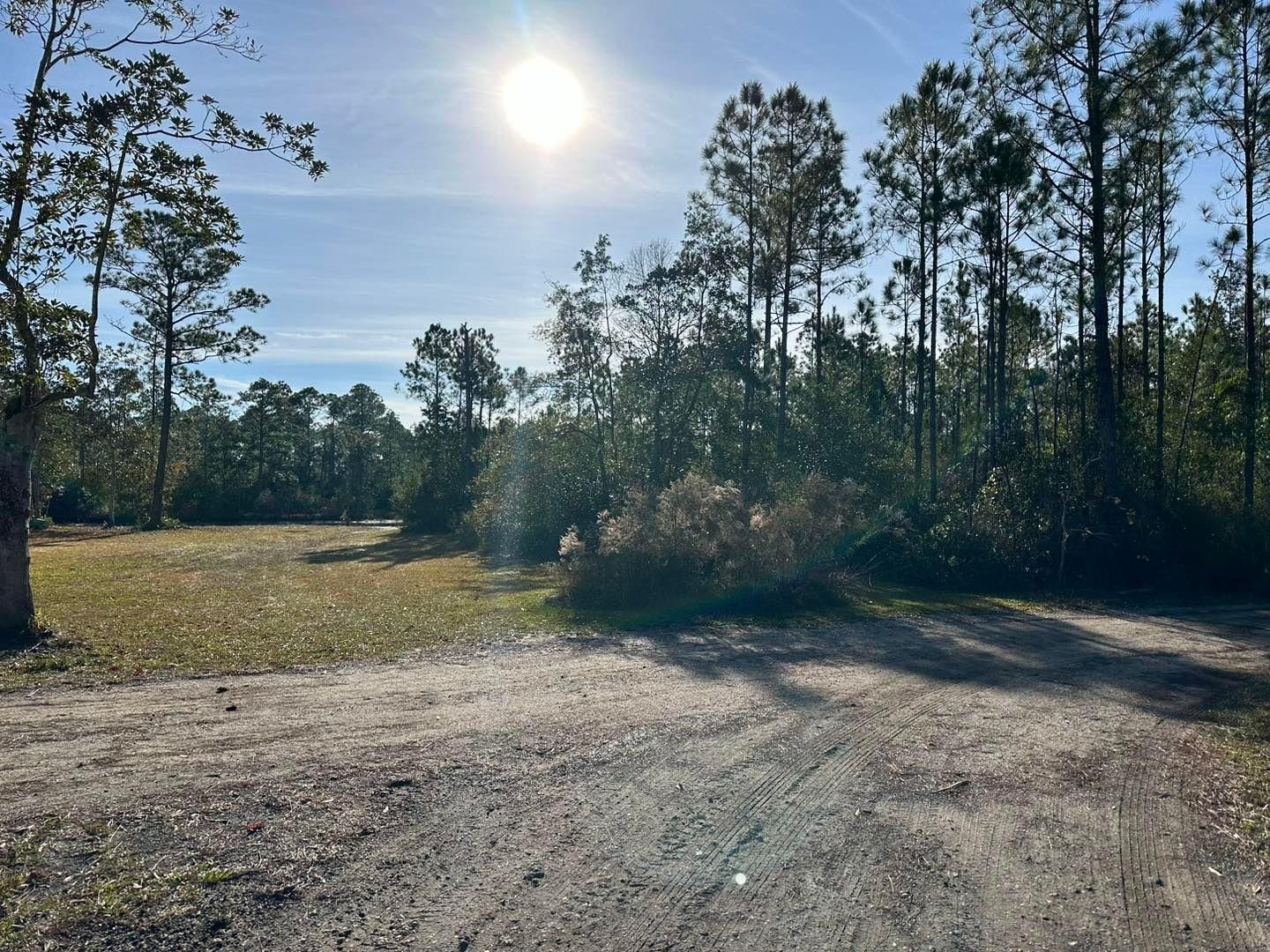  for White’s Land Maintenance in Milton,, FL