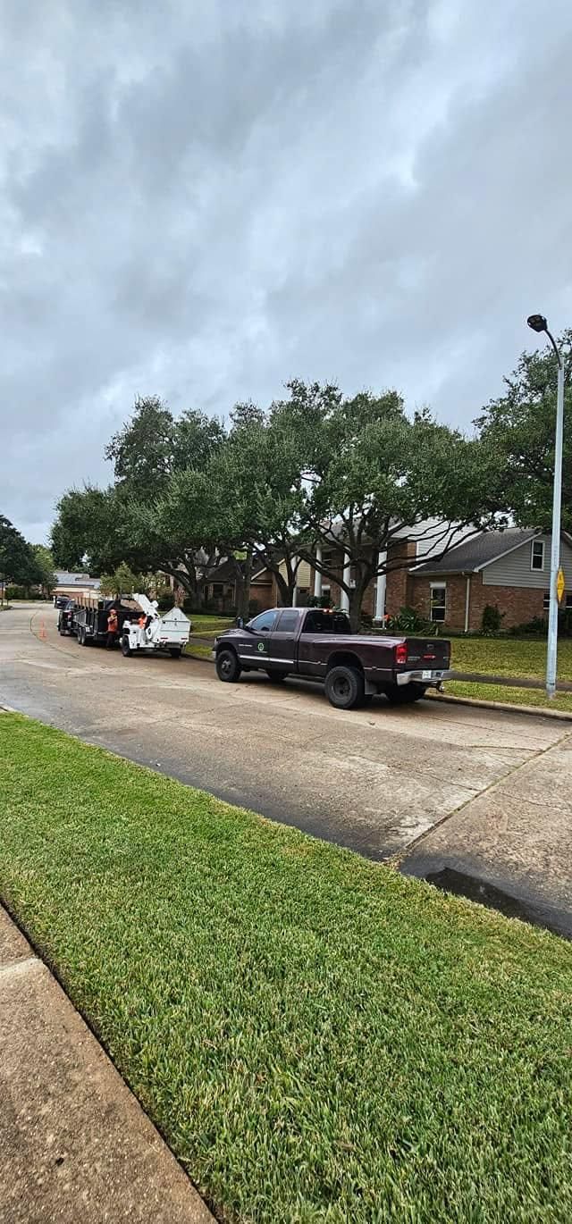  for Servin's Tree Care  in Houston, TX