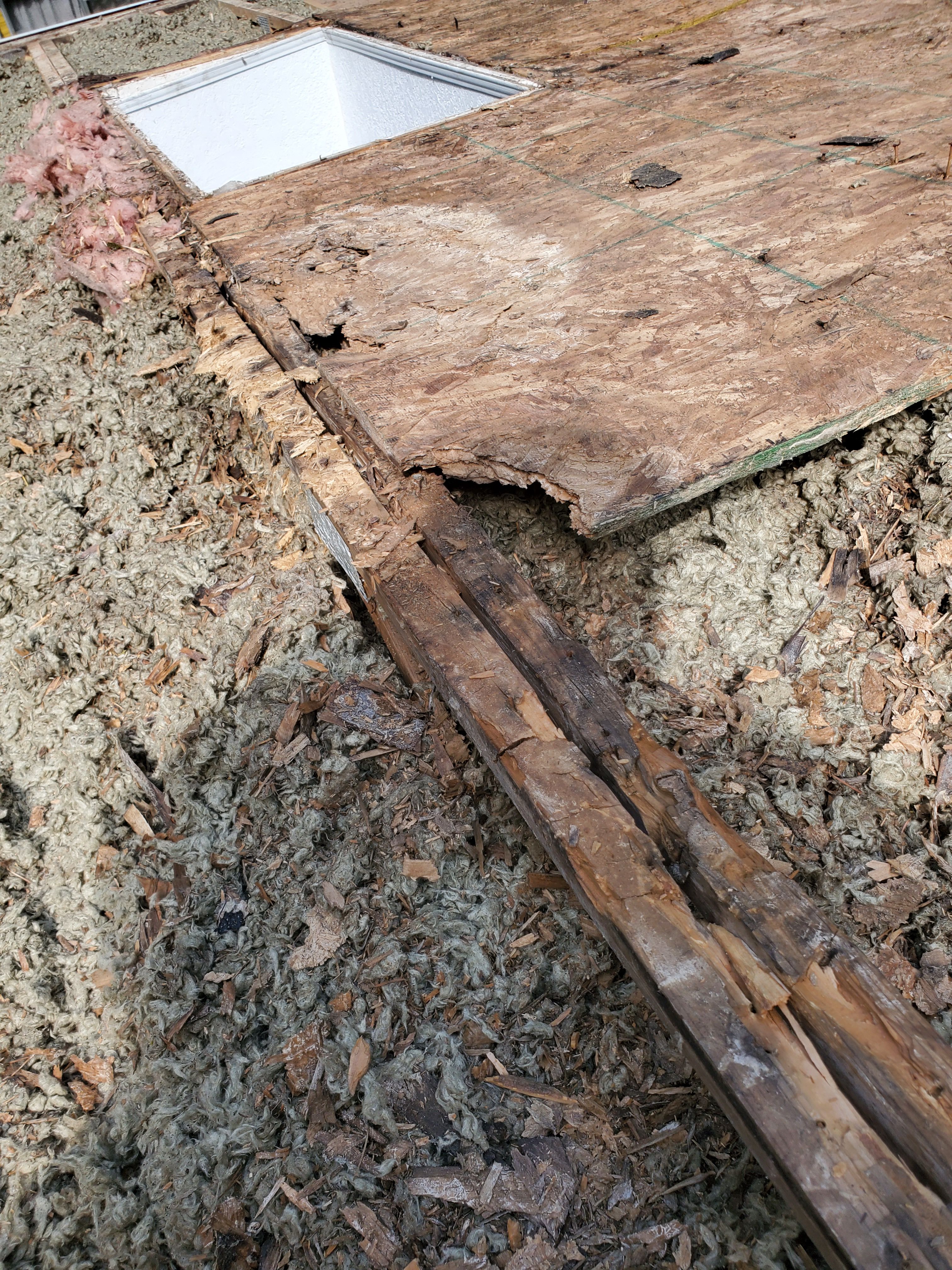  for Home Pros in Maple Falls, WA