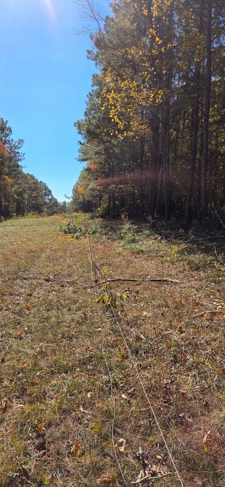  for Southern Stronghold Earthworks in Benson, NC