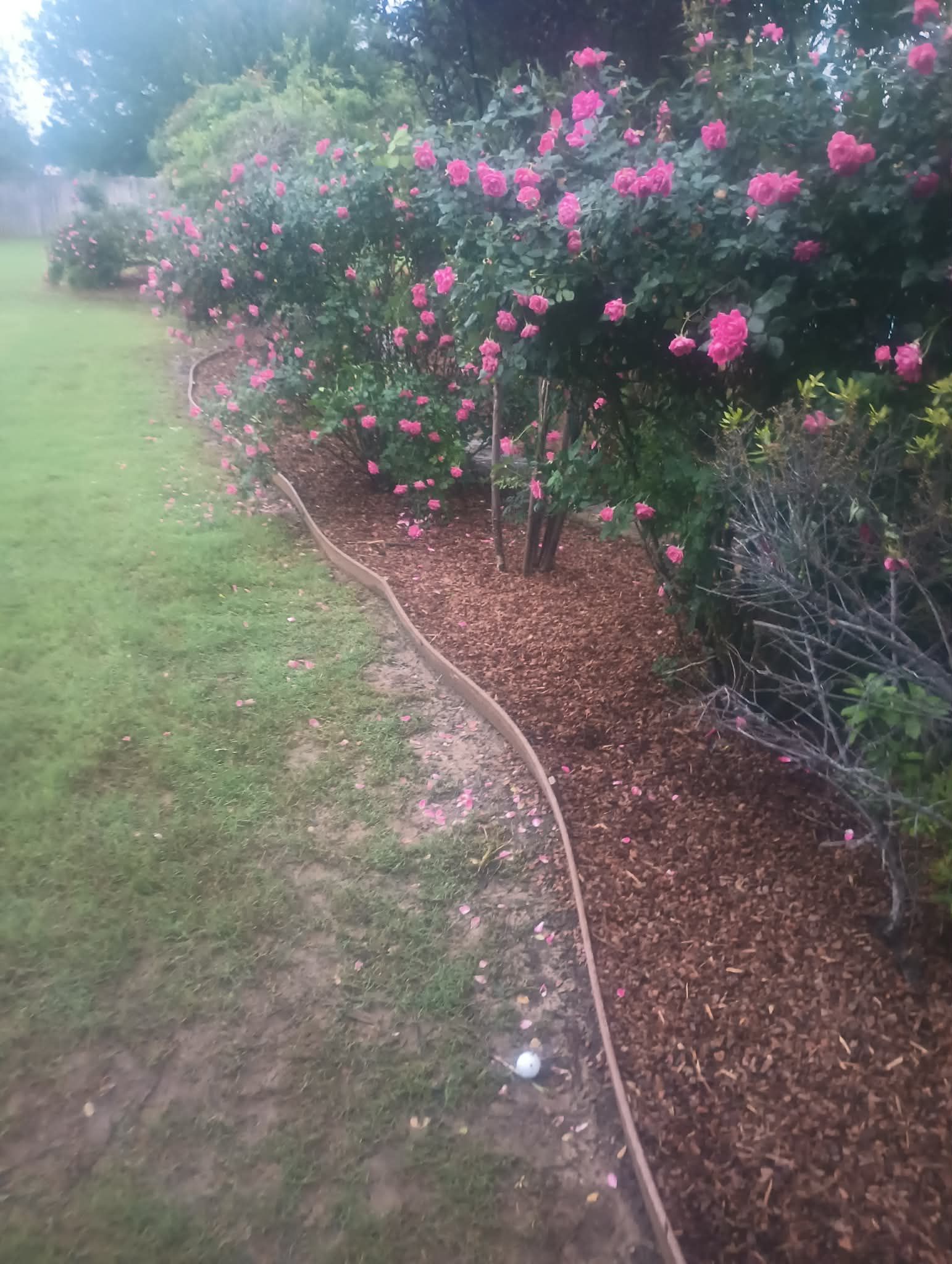  for Wilson's Yard Work, LLC in Tyler, TX