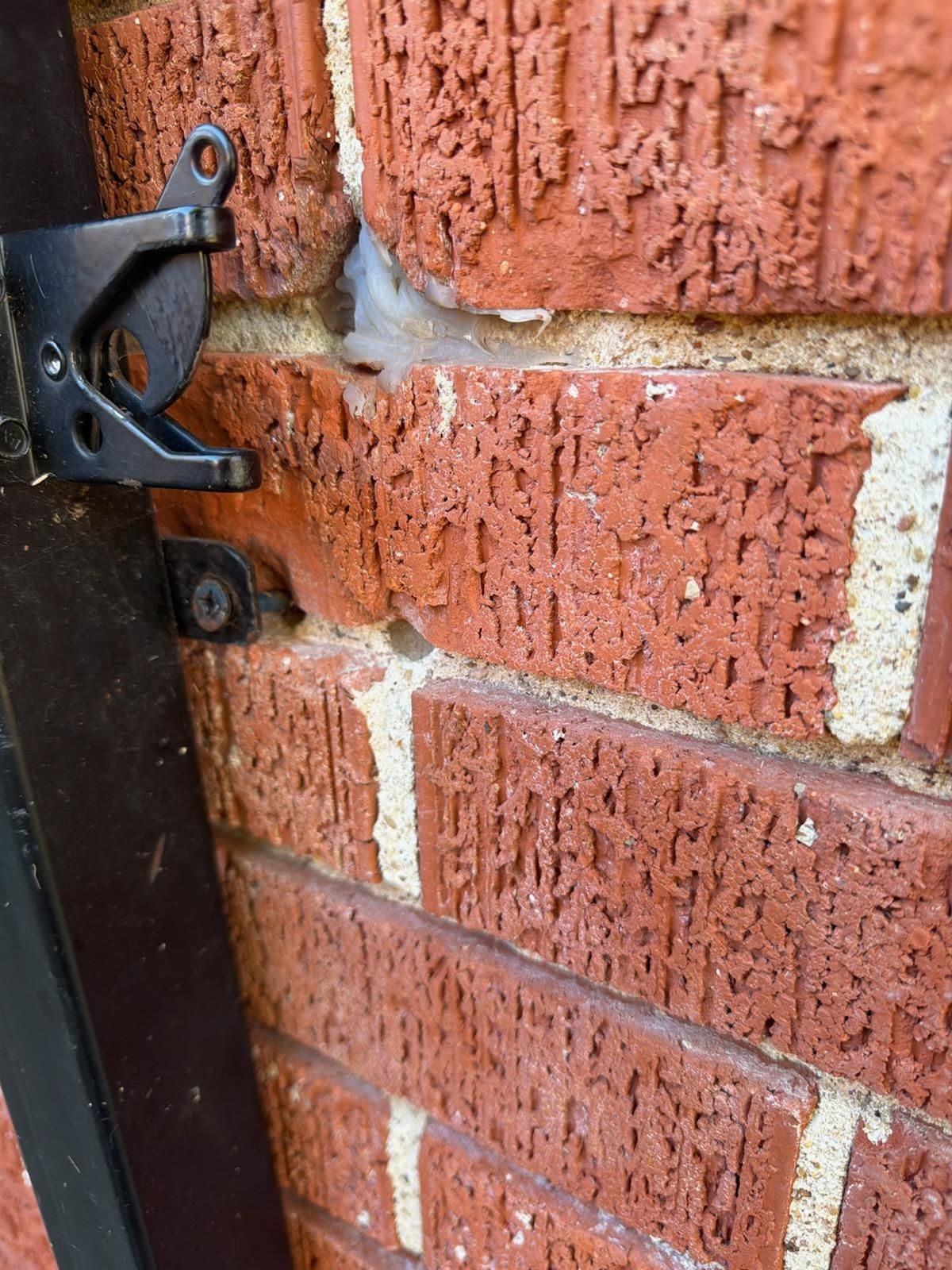  for Rojas Contractors in Fort Worth, TX