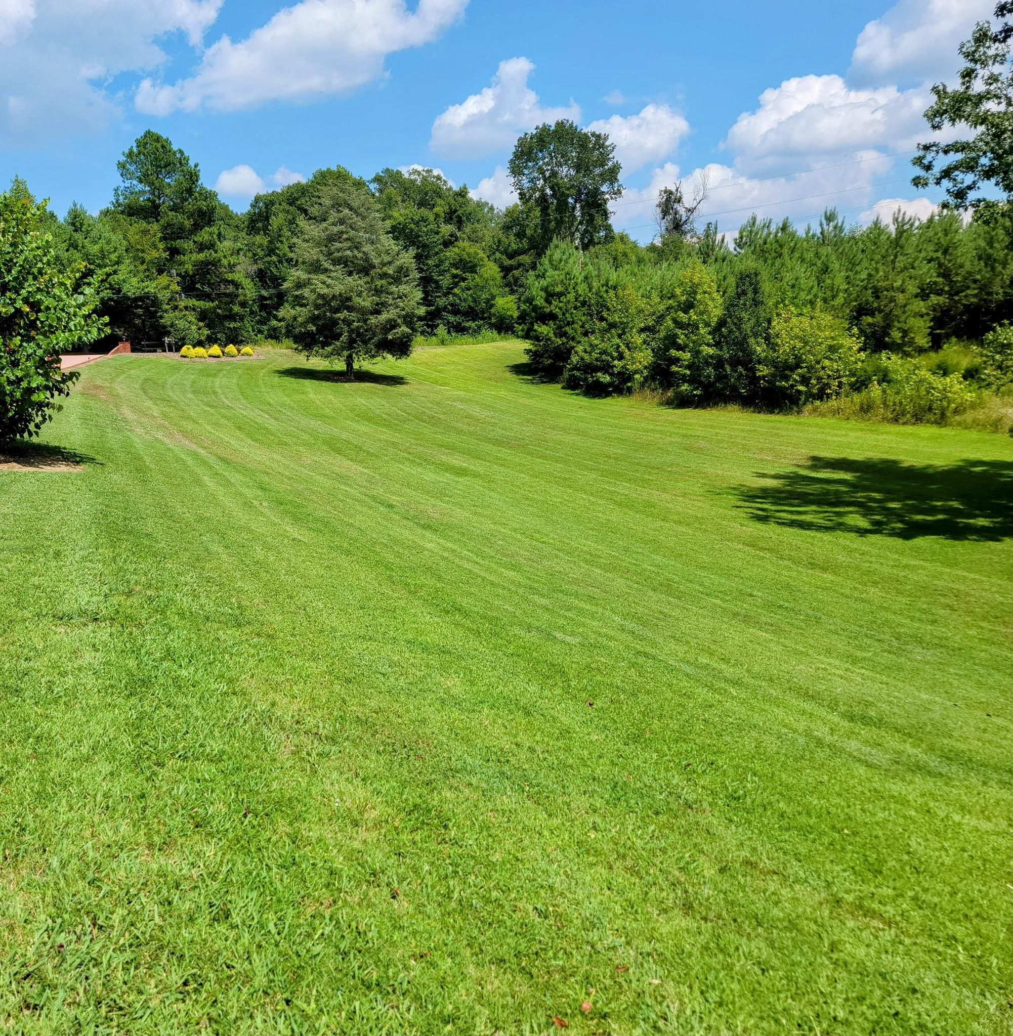  for Piedmont Lawn and Landscaping in Lexington, NC