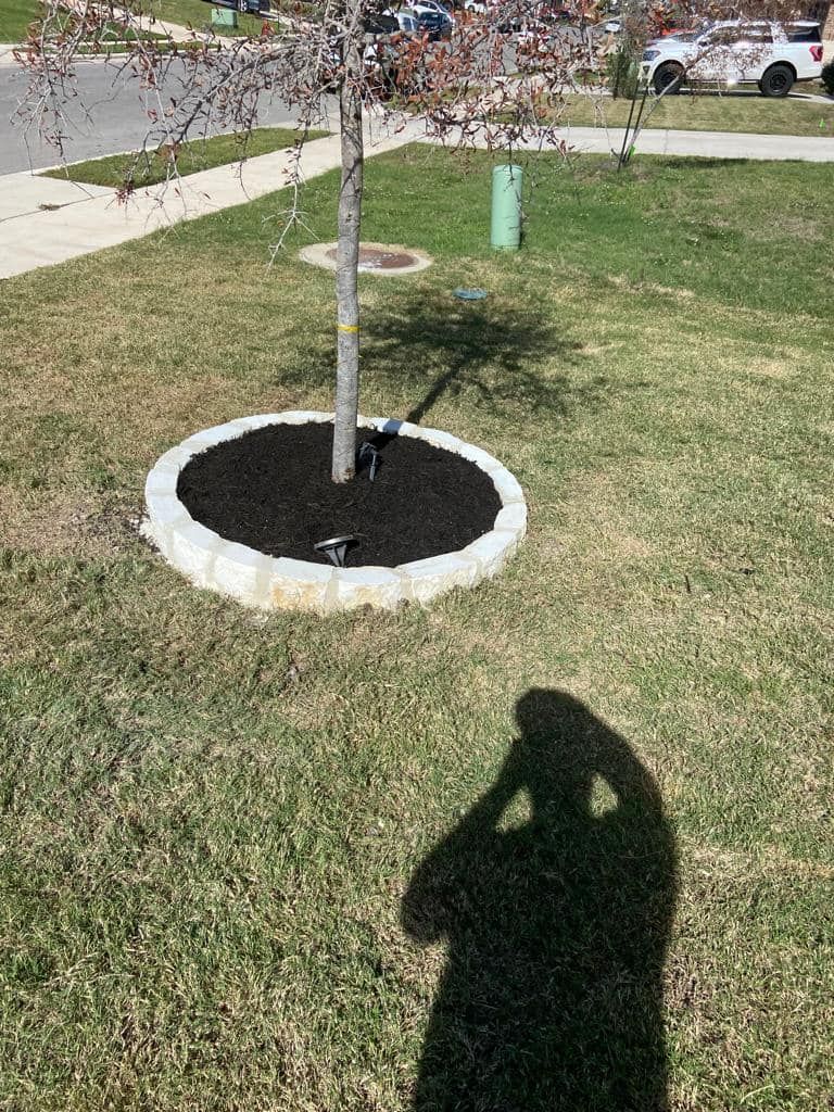  for Pina Landscaping in Austin, TX