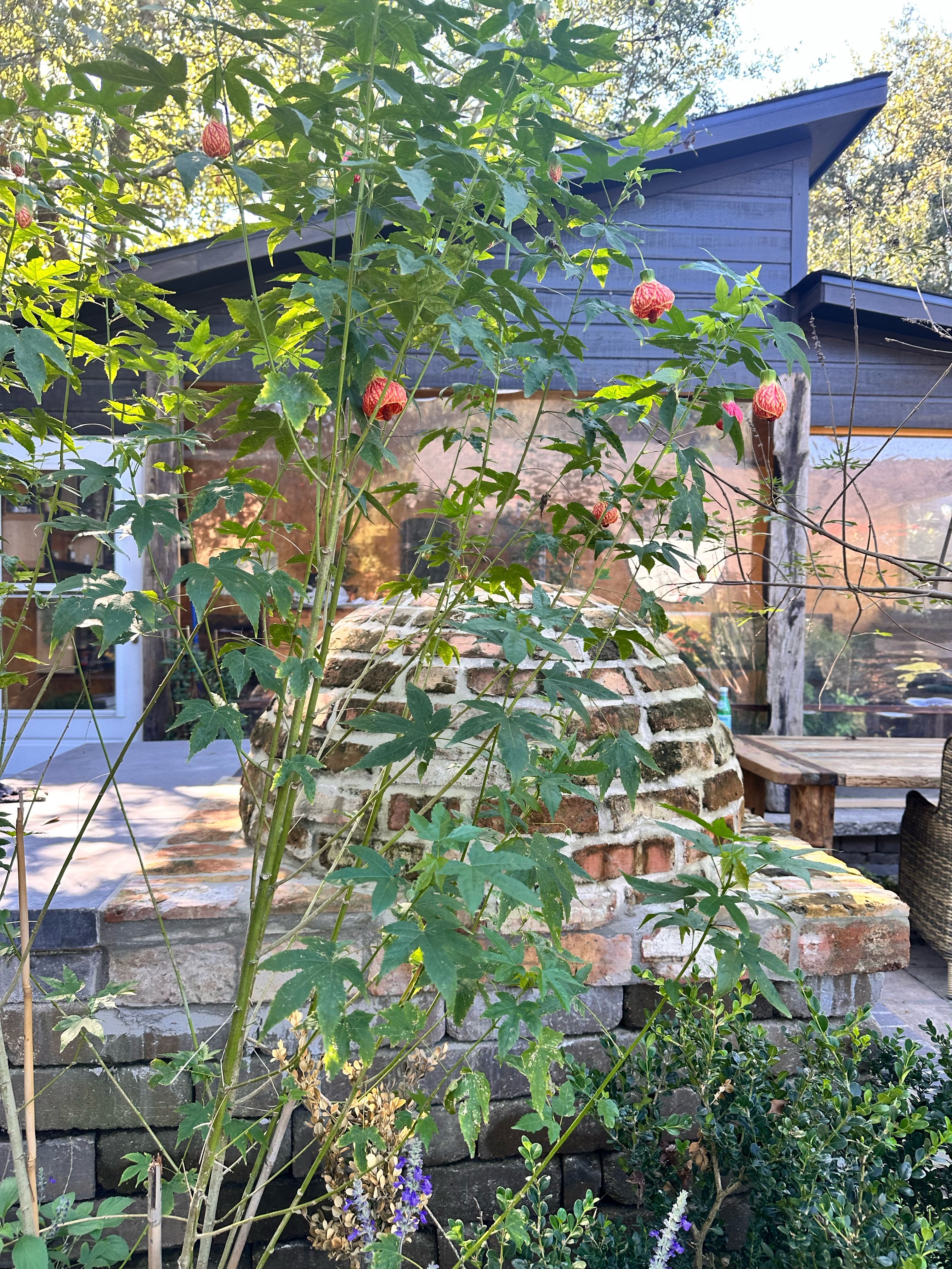 All Photos for Atlas Land Design in Creekside Park, TX