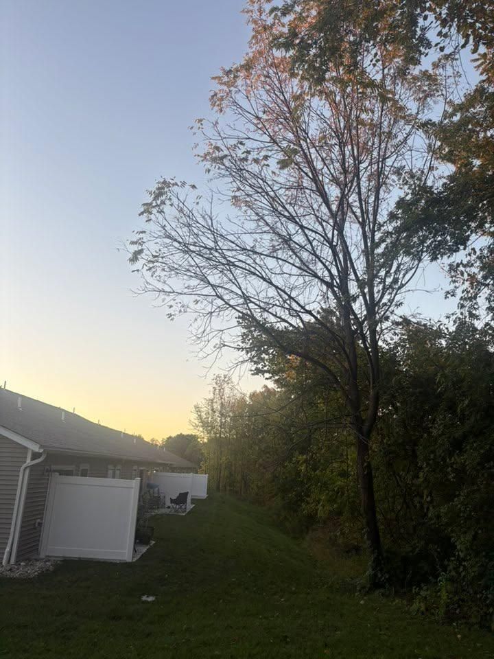 for Dig-It Tree Company in , 