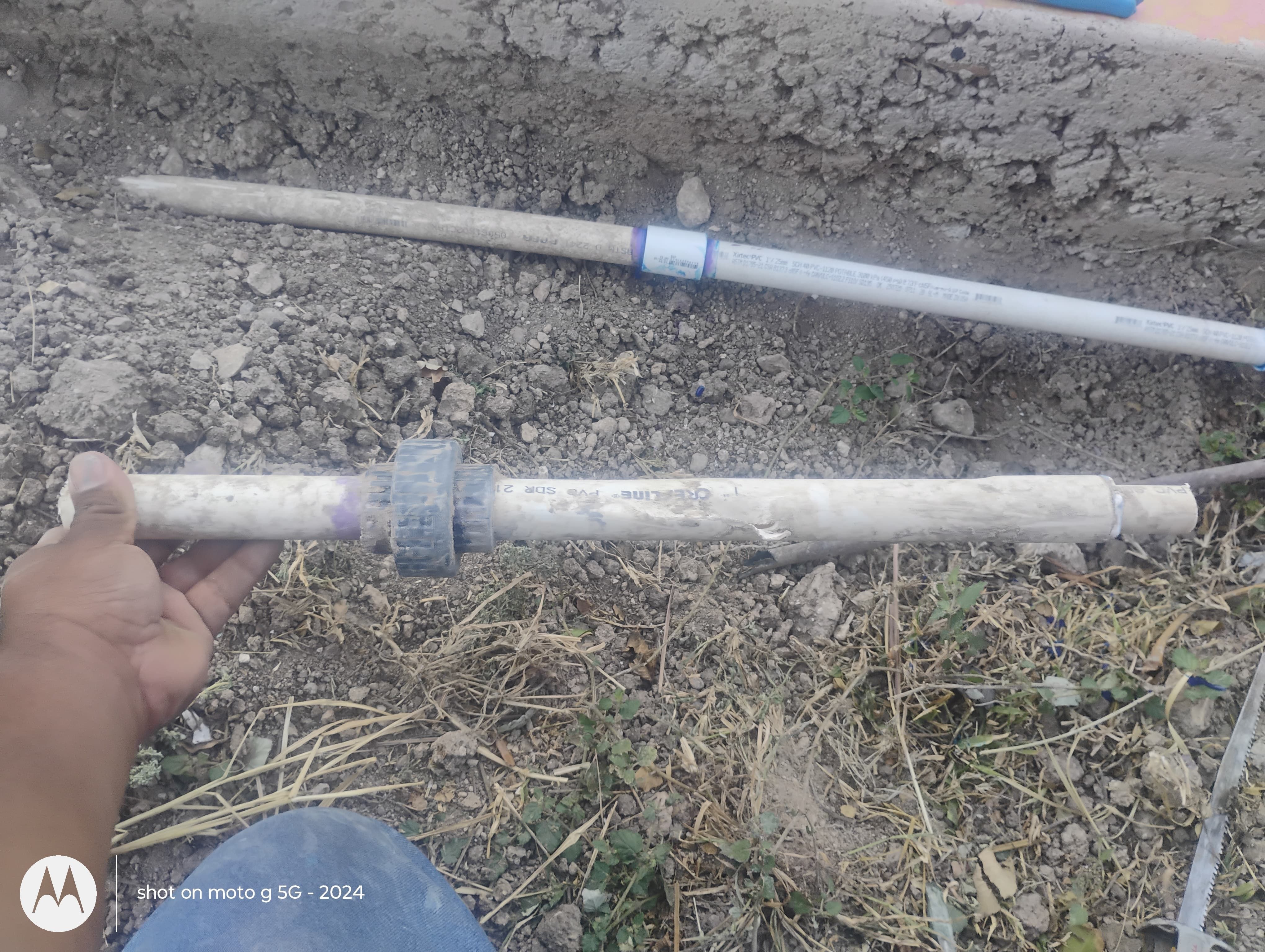  for Pro Lawn Care RGV in McAllen, TX