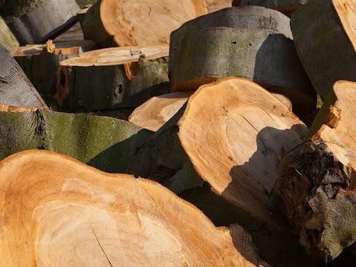  for Sloan Tree Service in Aurora, CO