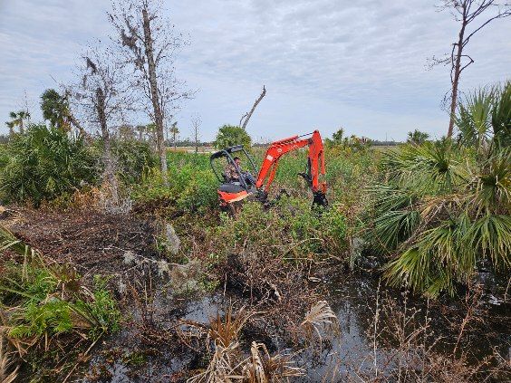  for Bay Area Bobcat in Riverview, FL